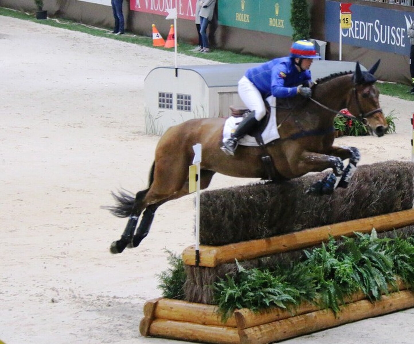 Description de l'image