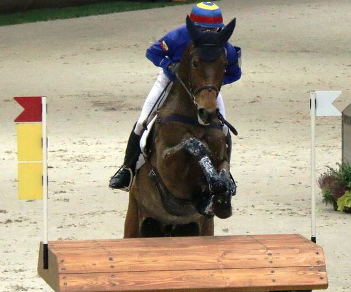 Description de l'image