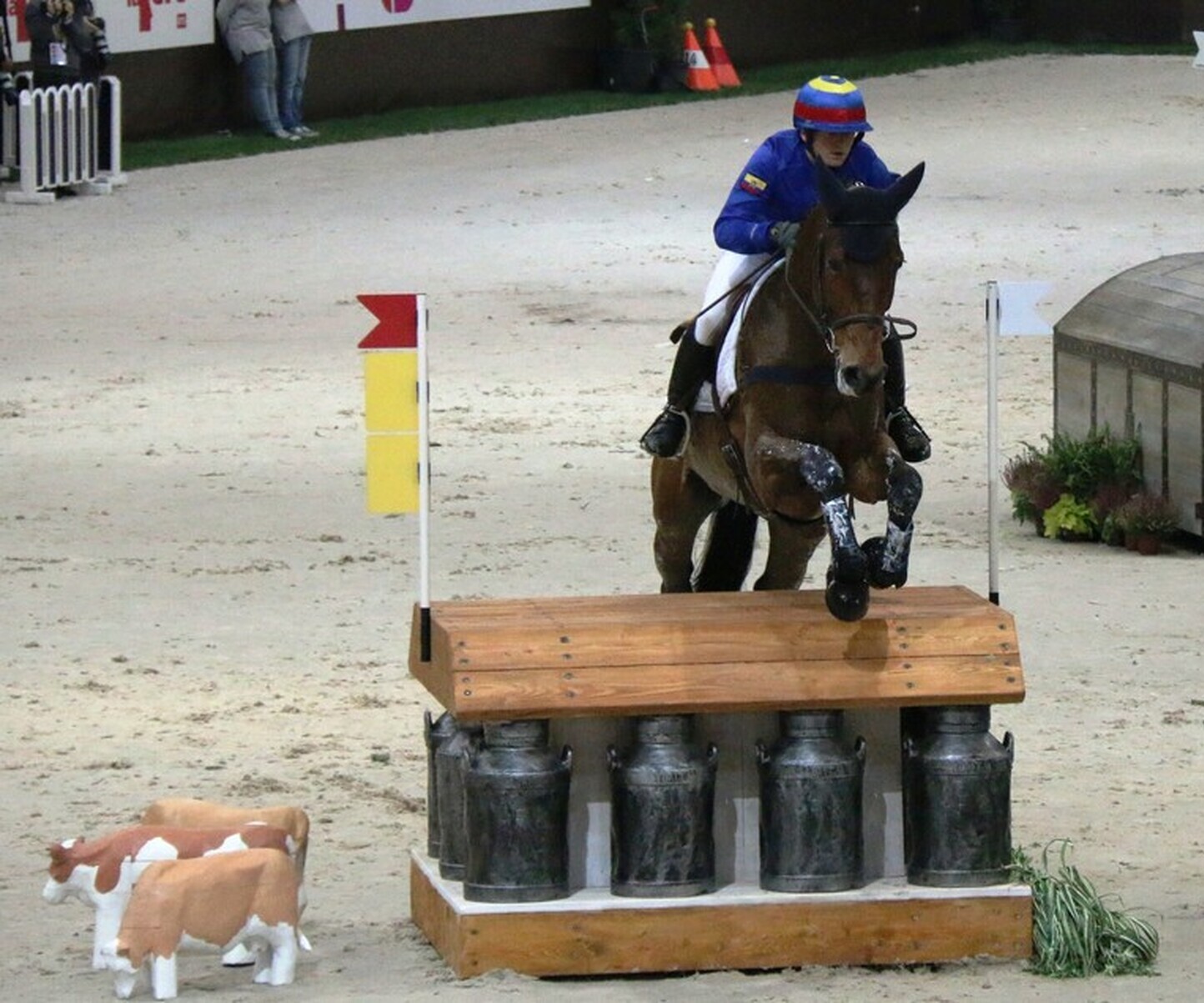 Description de l'image