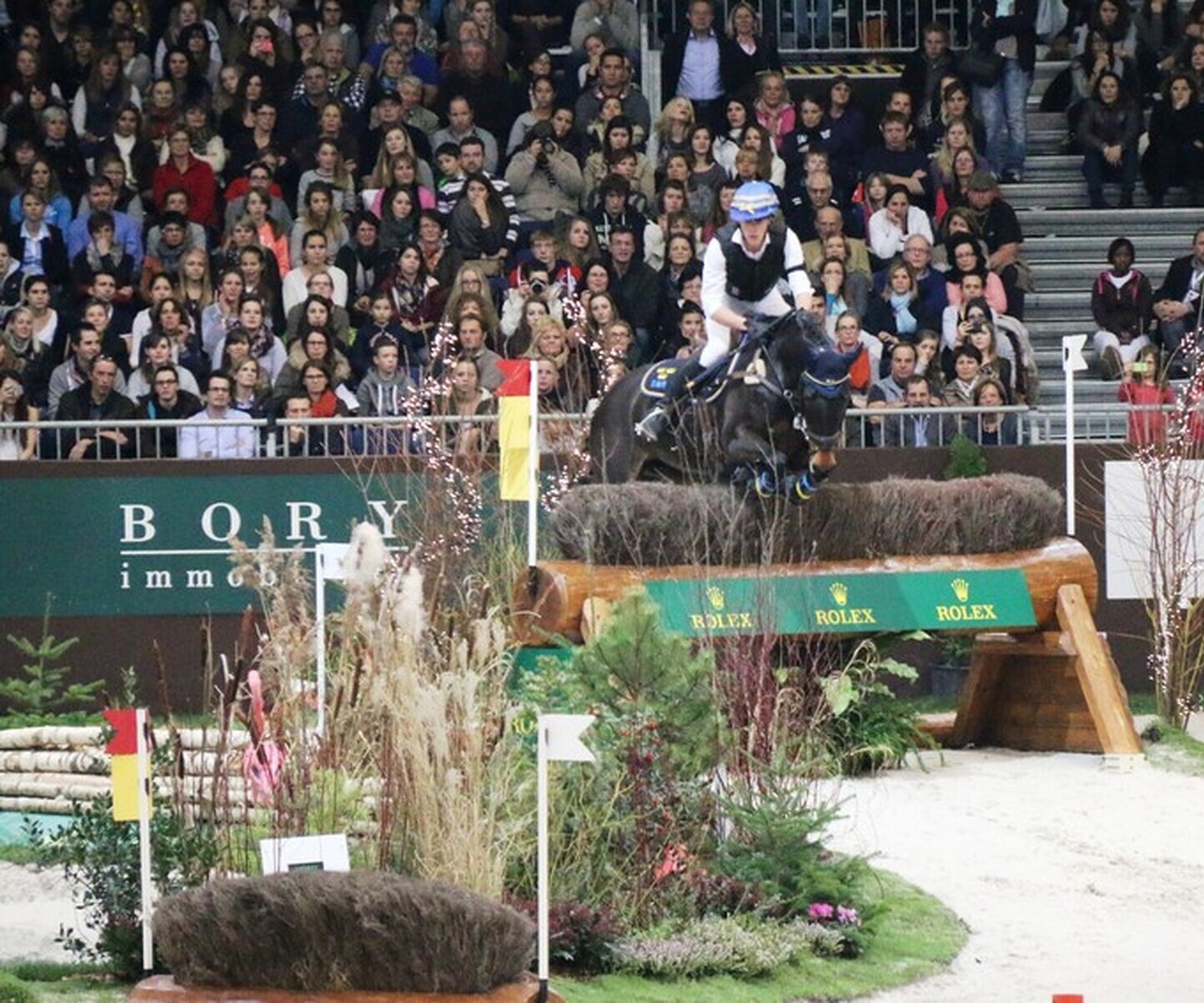 Description de l'image