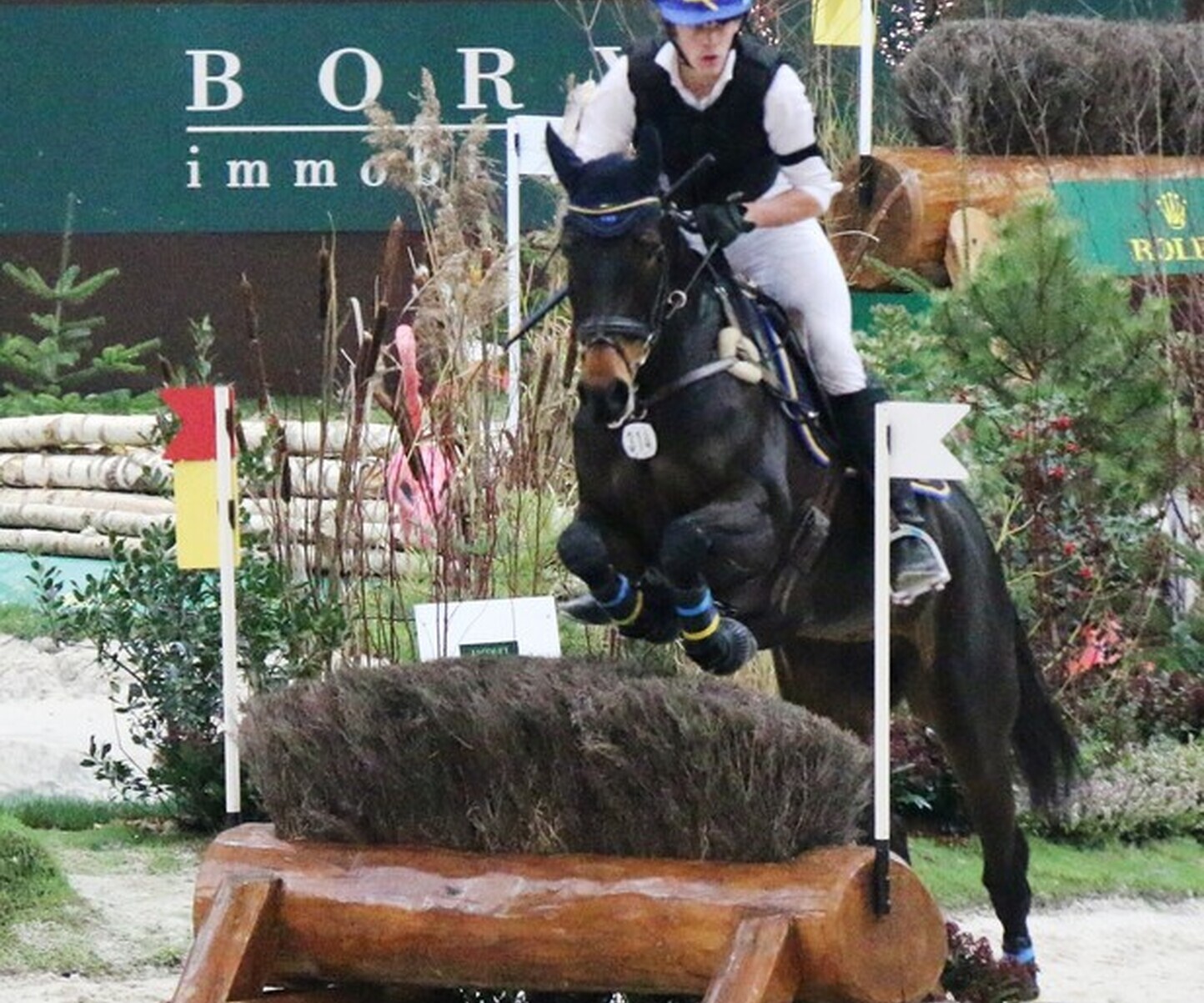 Description de l'image