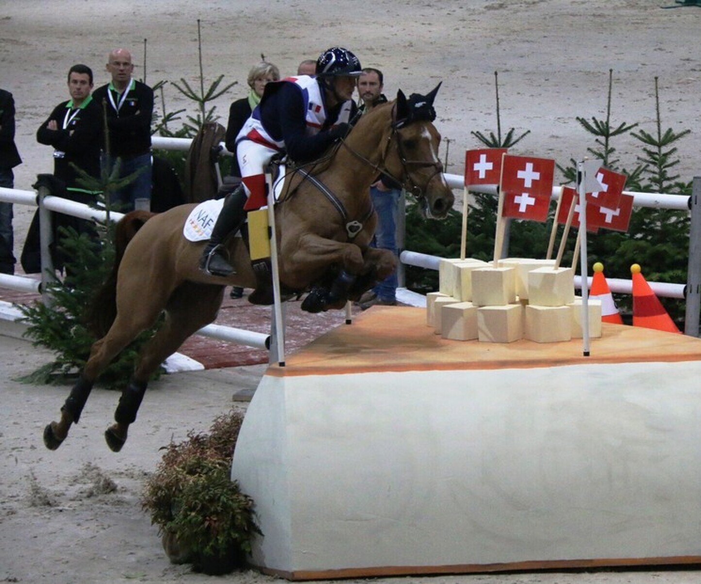 Description de l'image