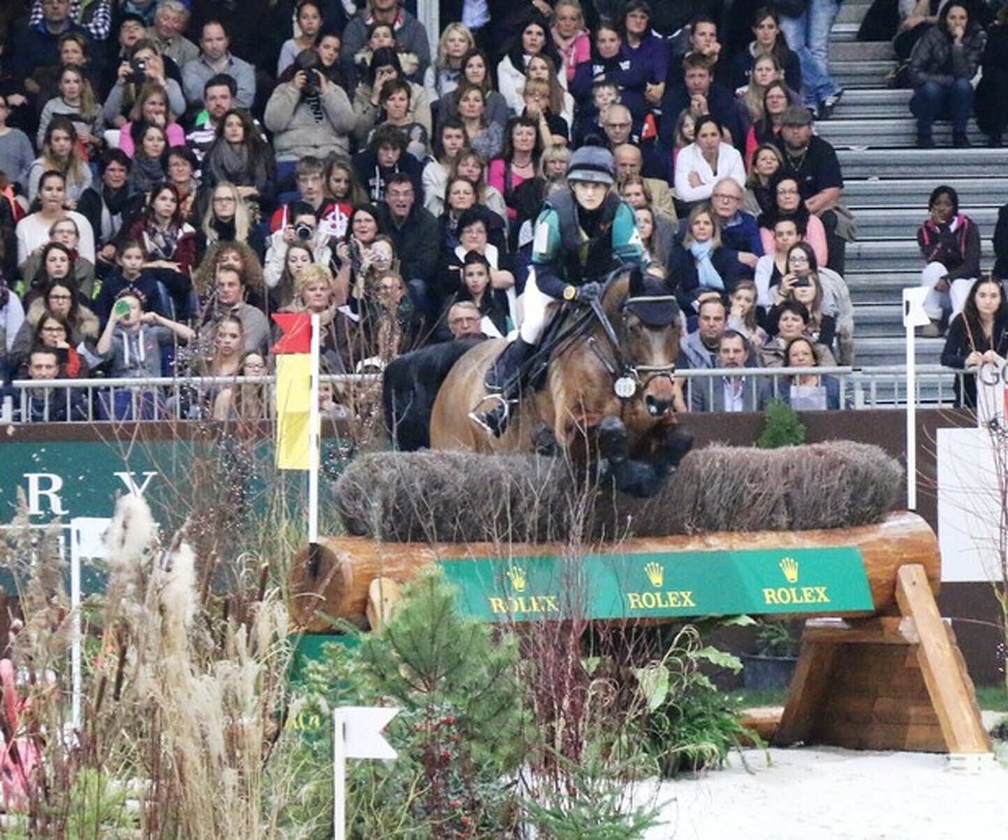 Description de l'image