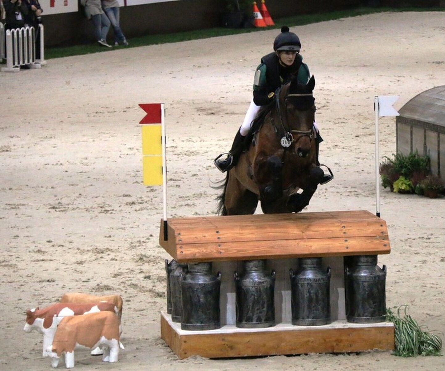 Description de l'image