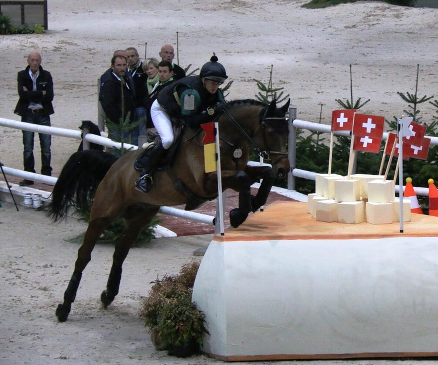 Description de l'image