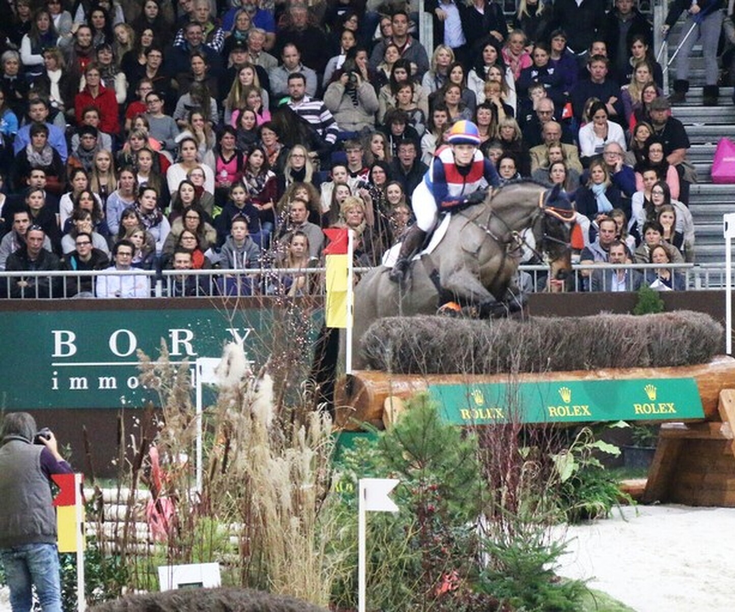 Description de l'image