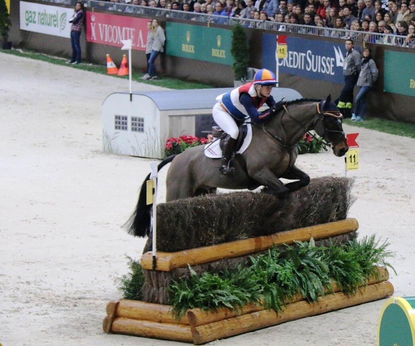 Description de l'image