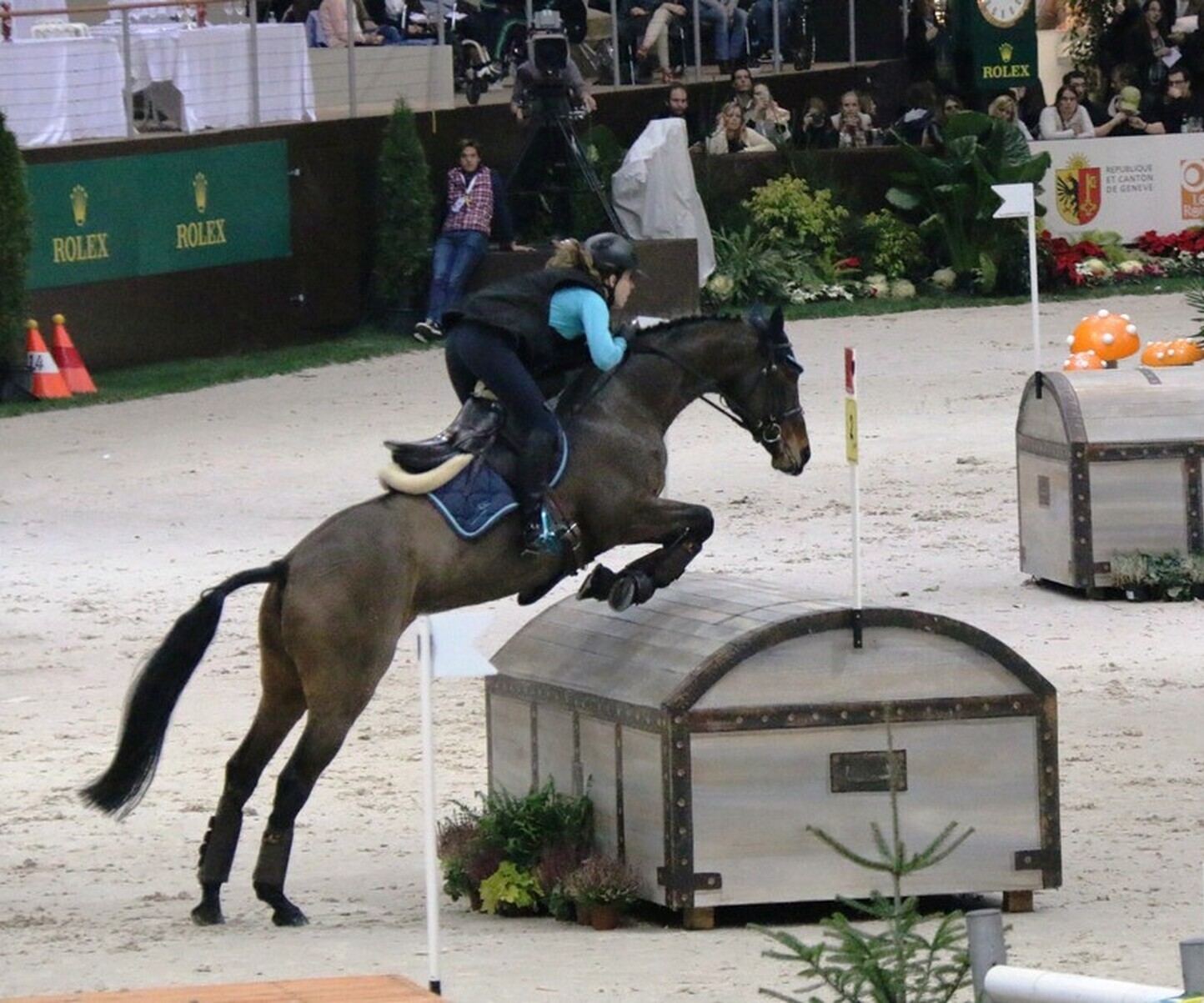 Description de l'image