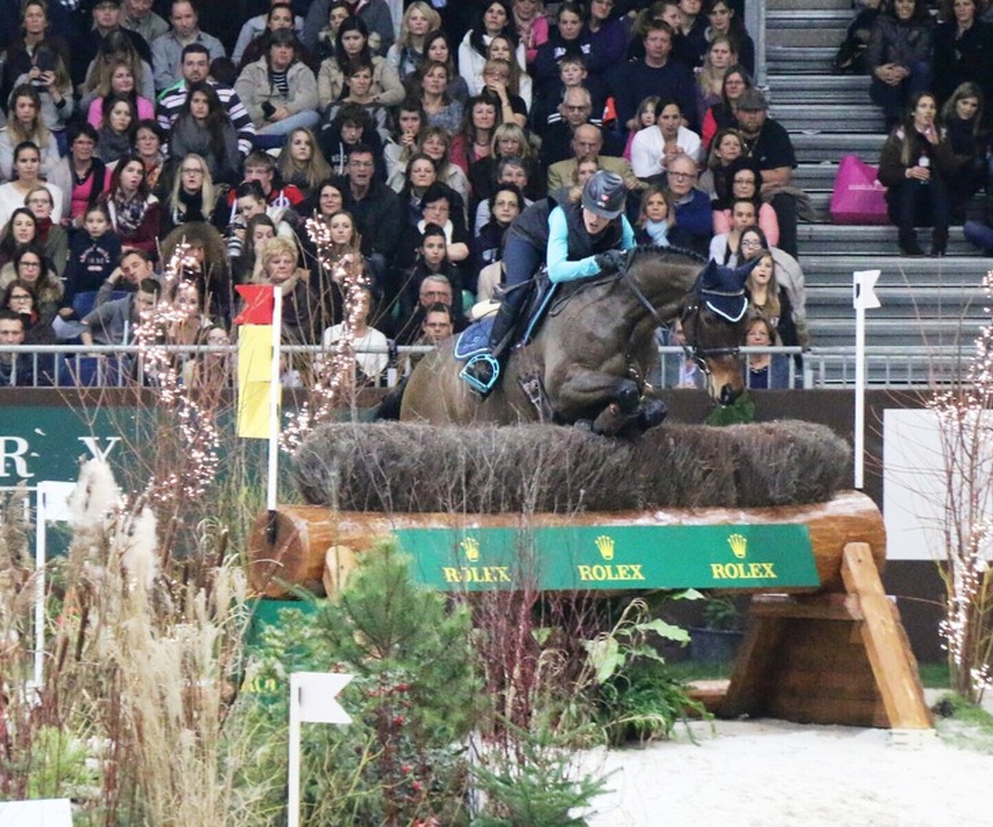 Description de l'image