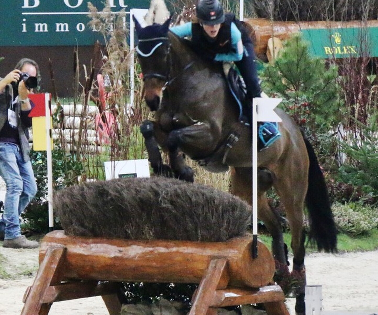 Description de l'image