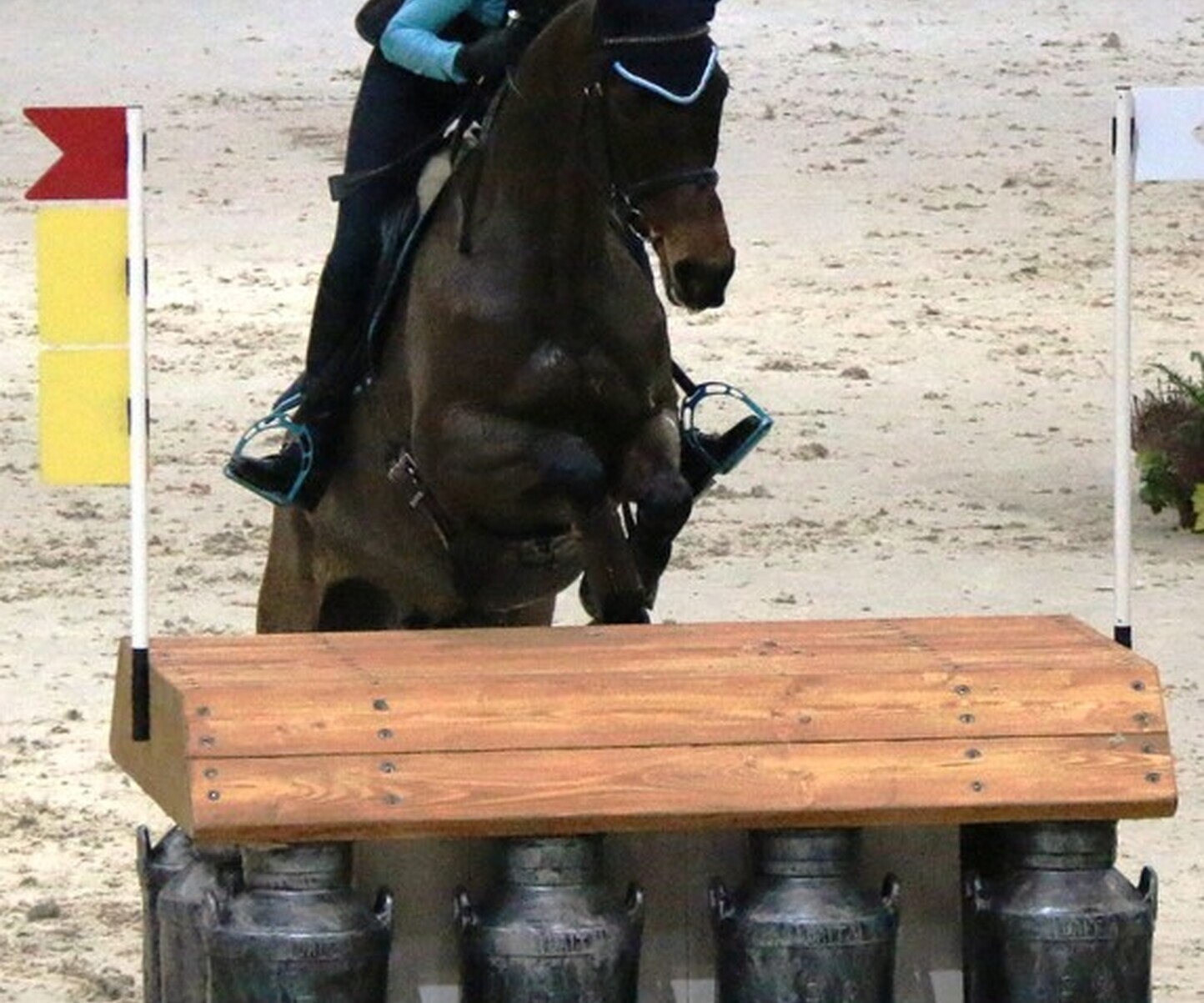 Description de l'image