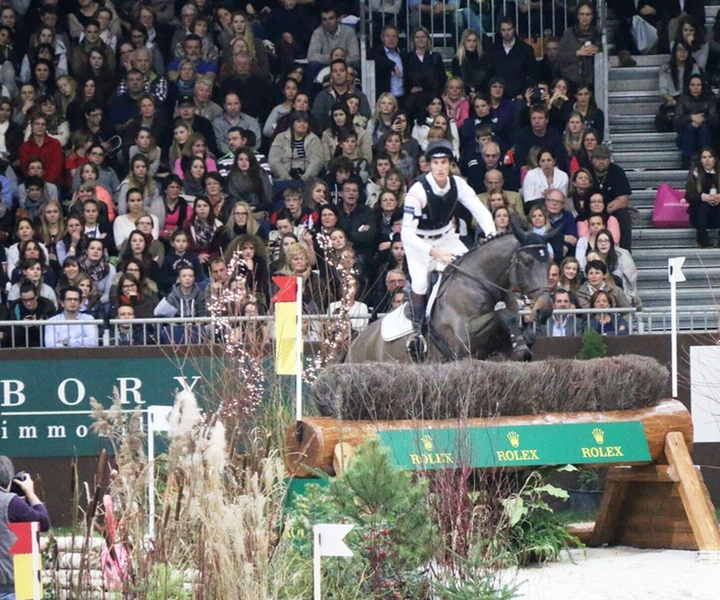 Description de l'image