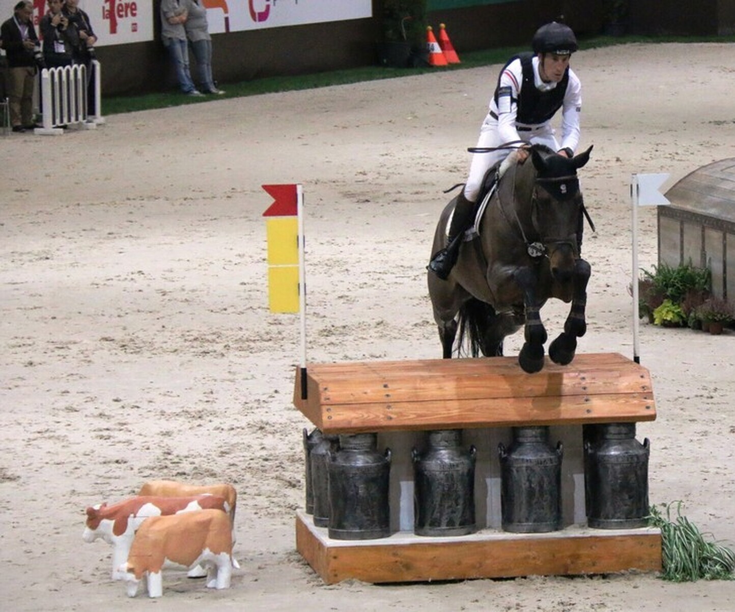 Description de l'image