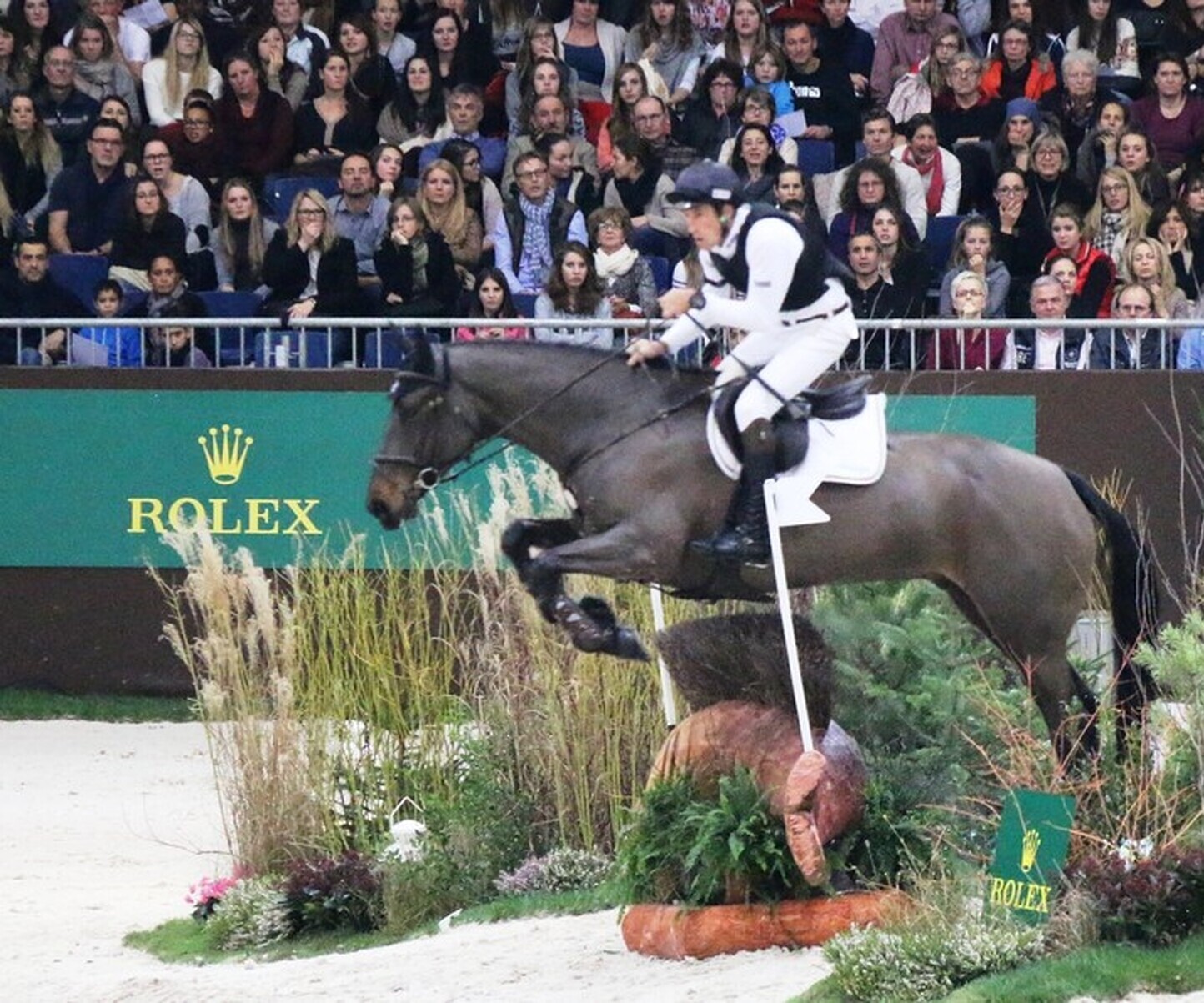 Description de l'image