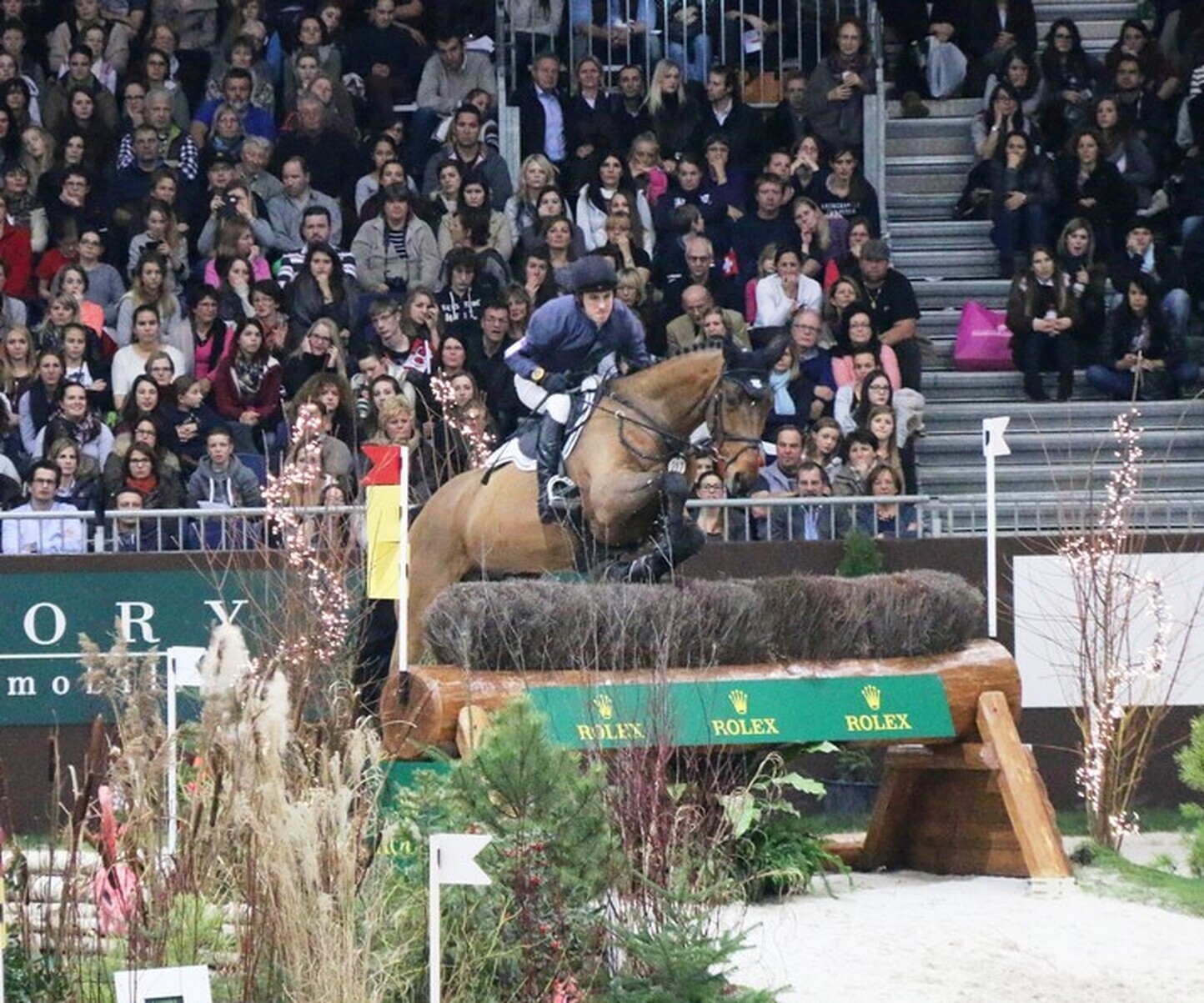 Description de l'image