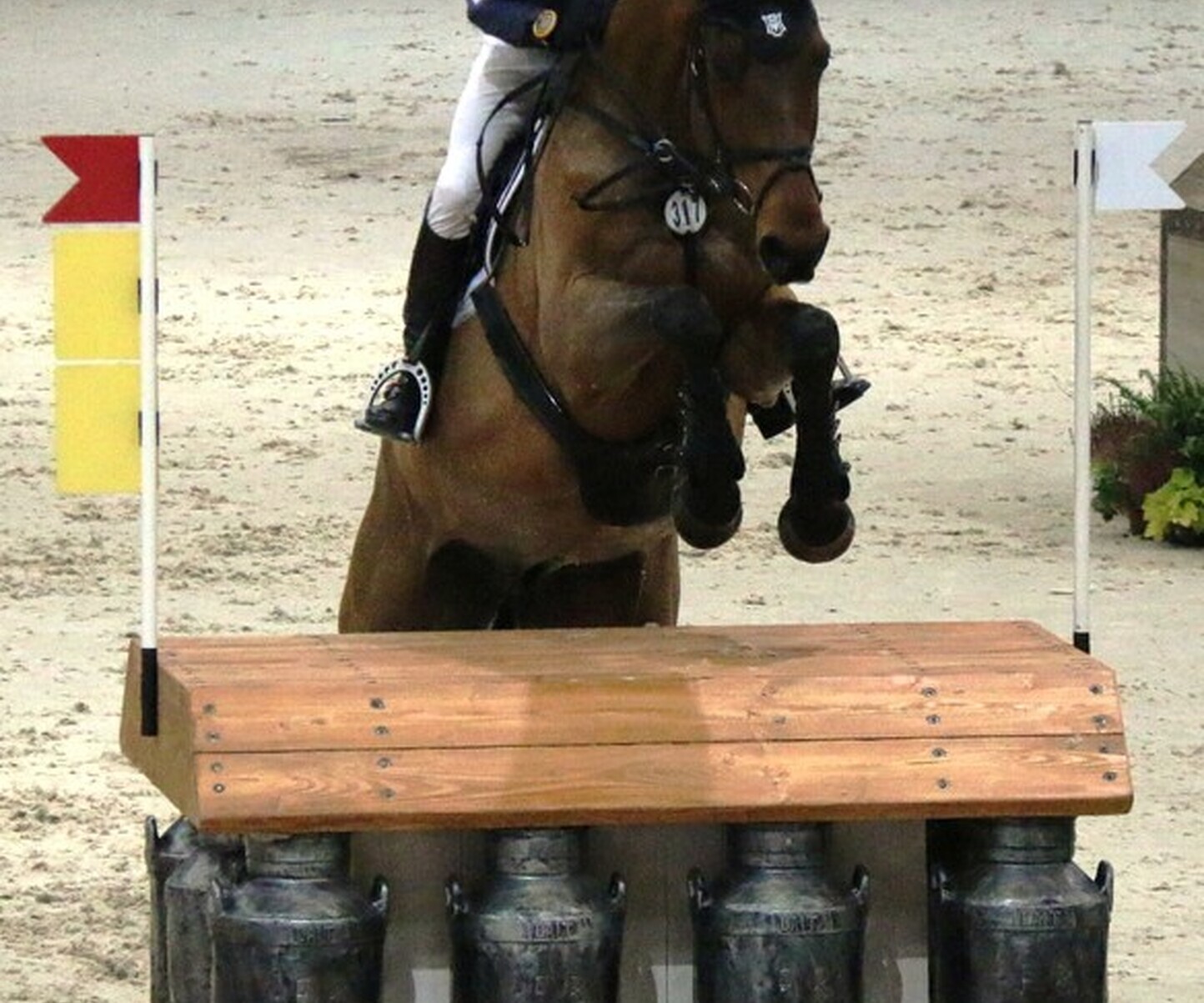 Description de l'image