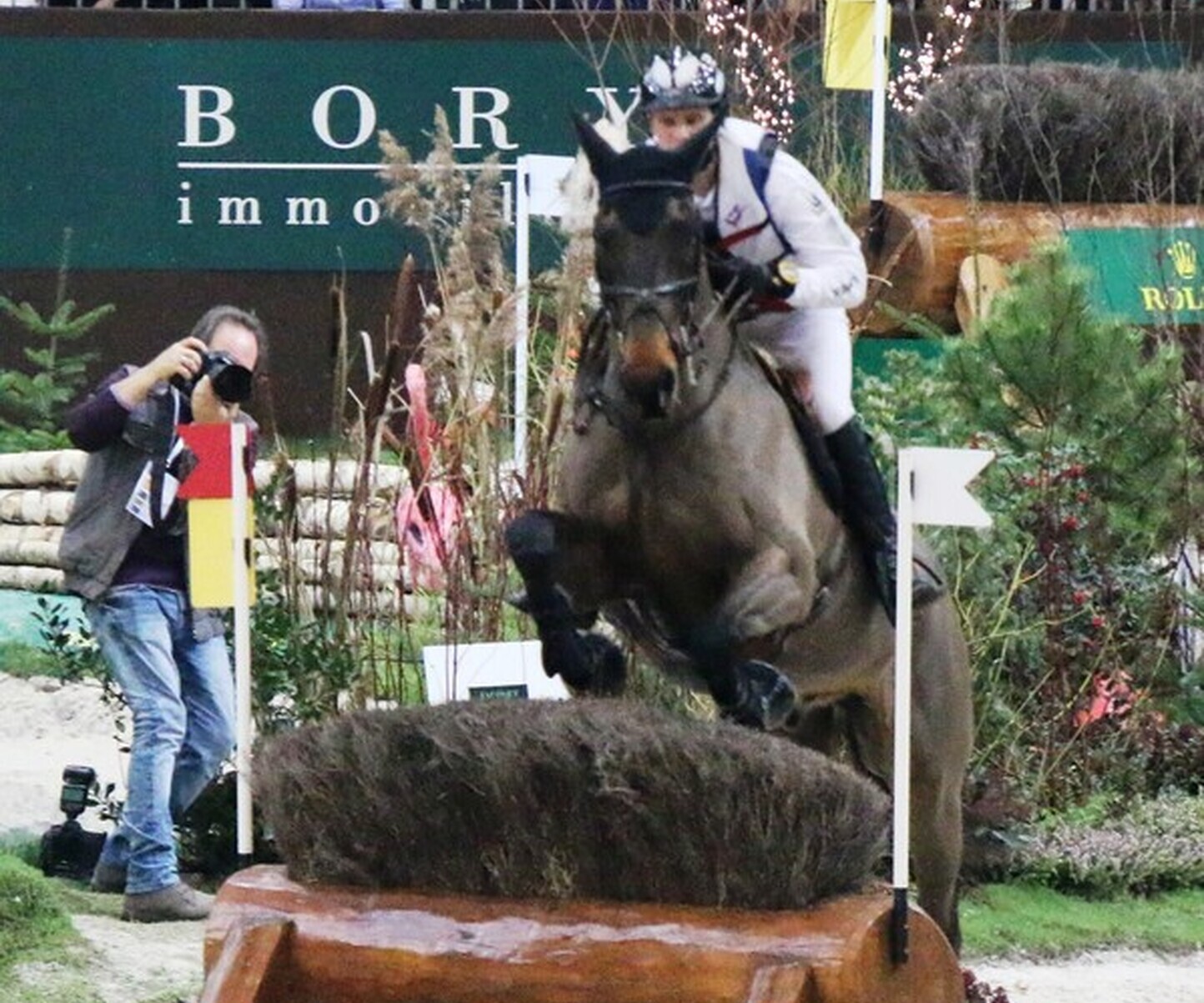 Description de l'image