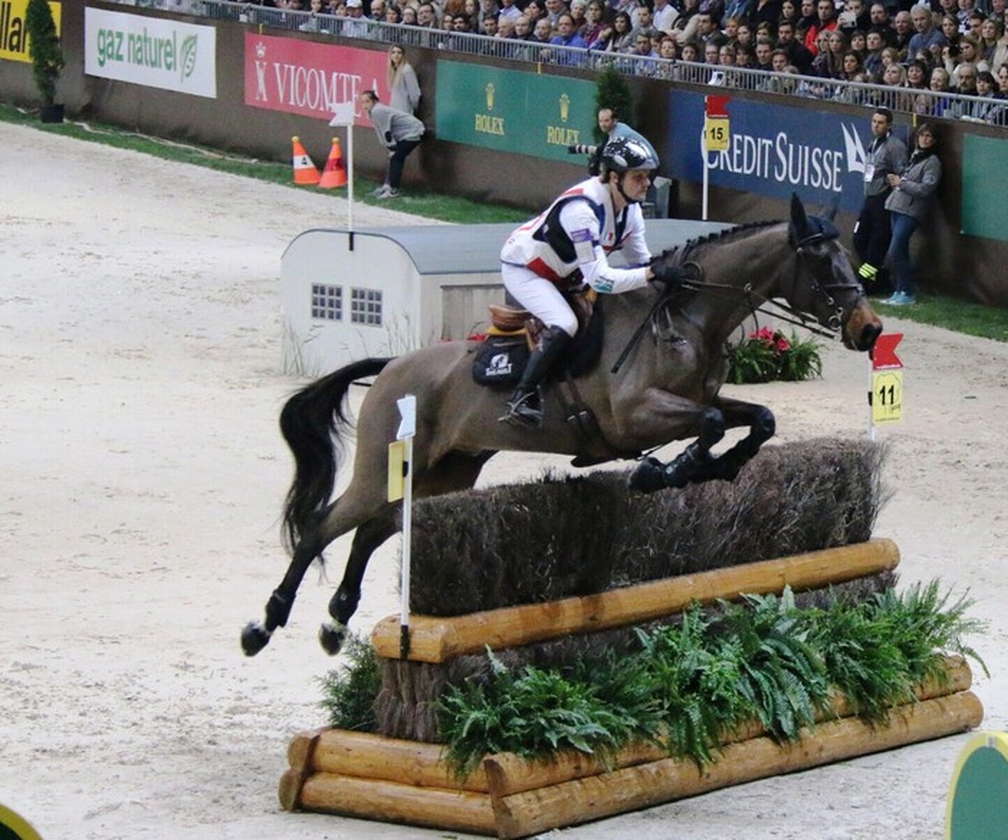 Description de l'image