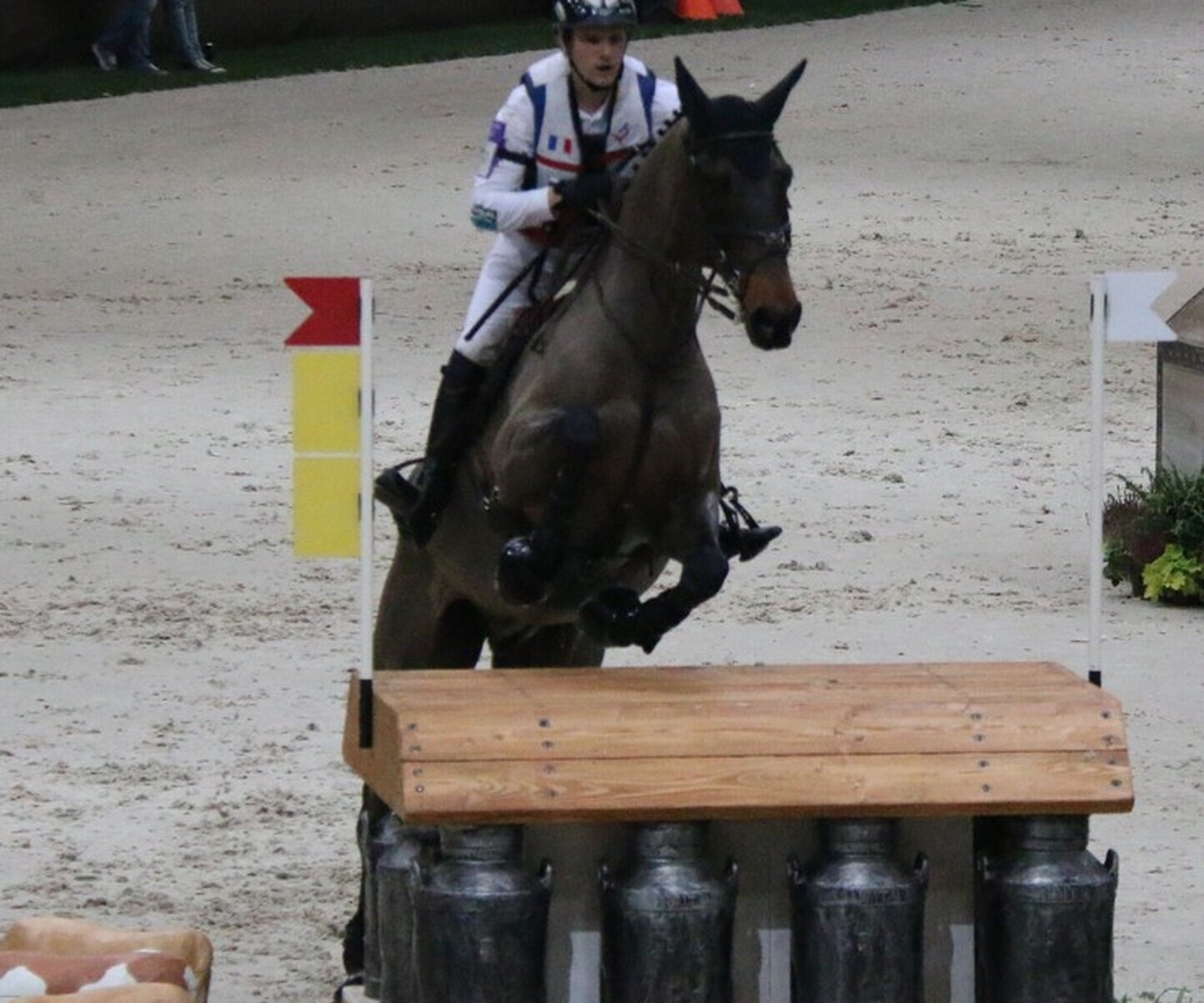 Description de l'image