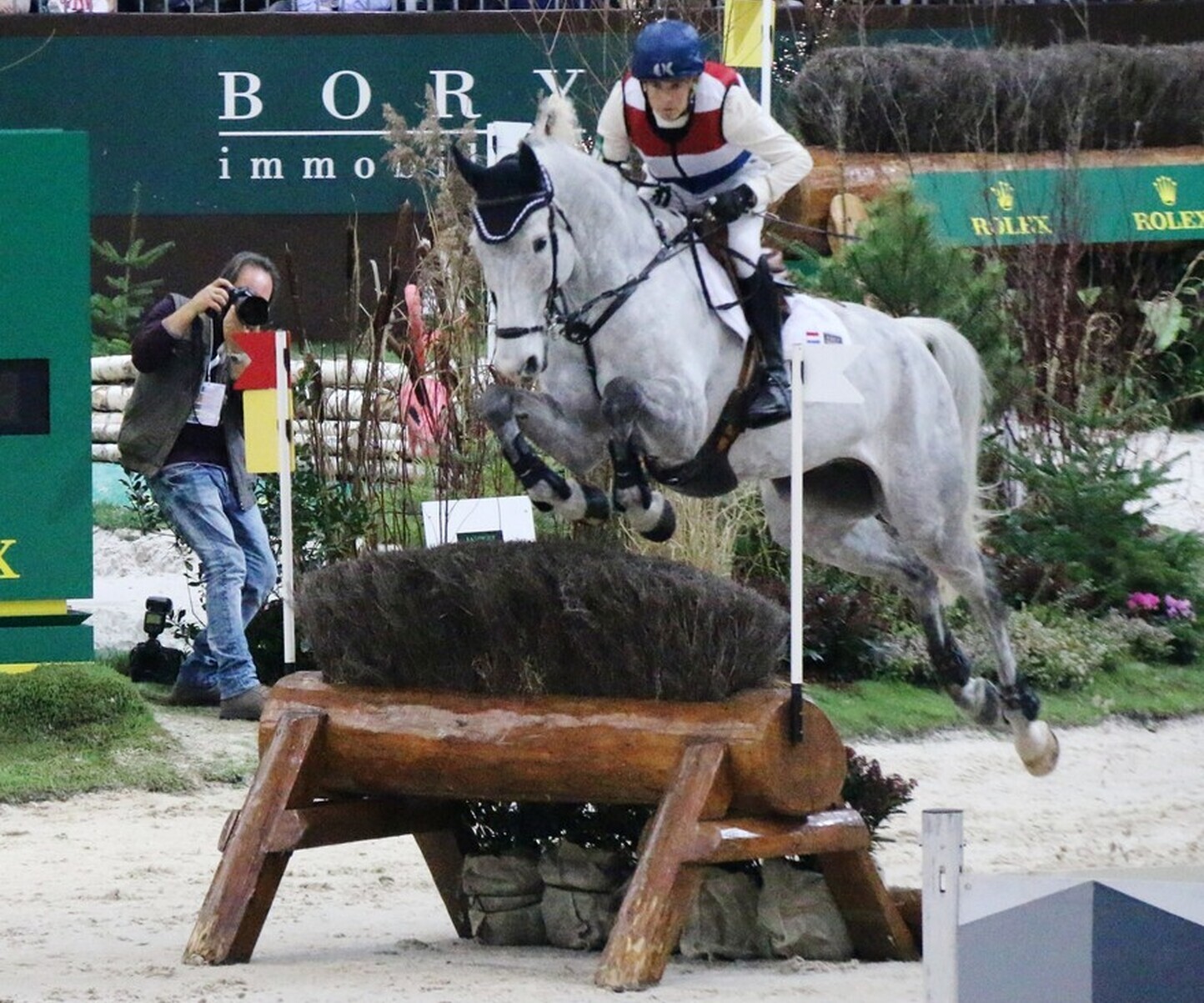 Description de l'image