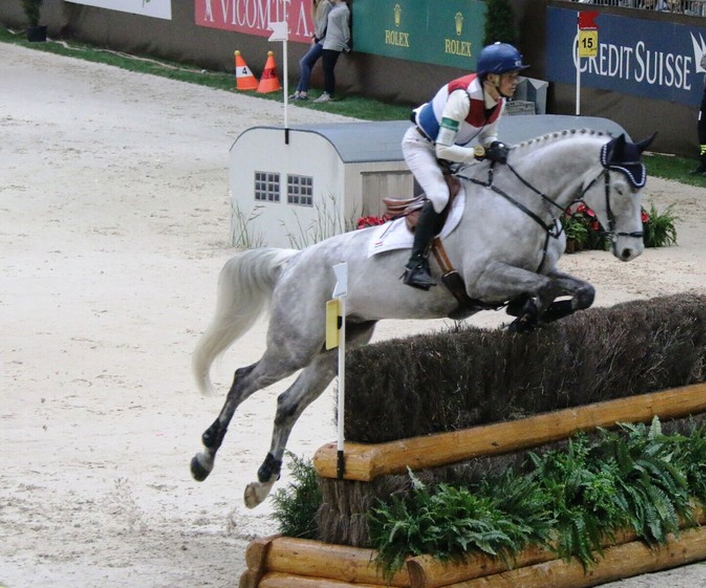 Description de l'image