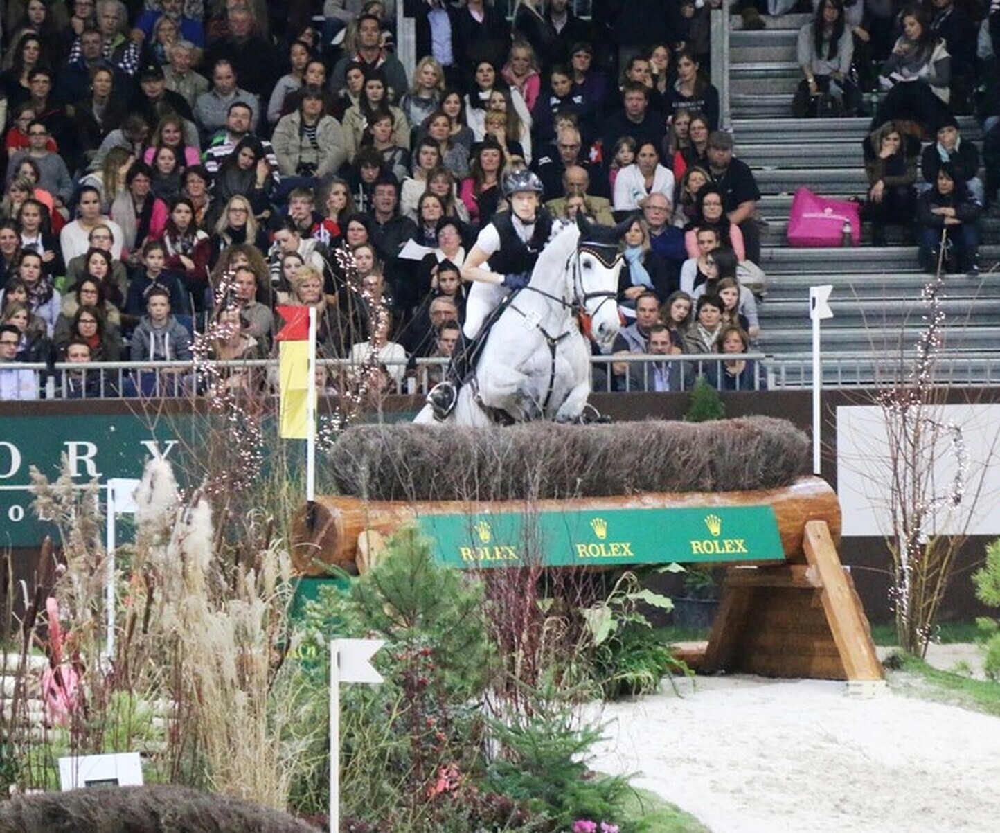 Description de l'image