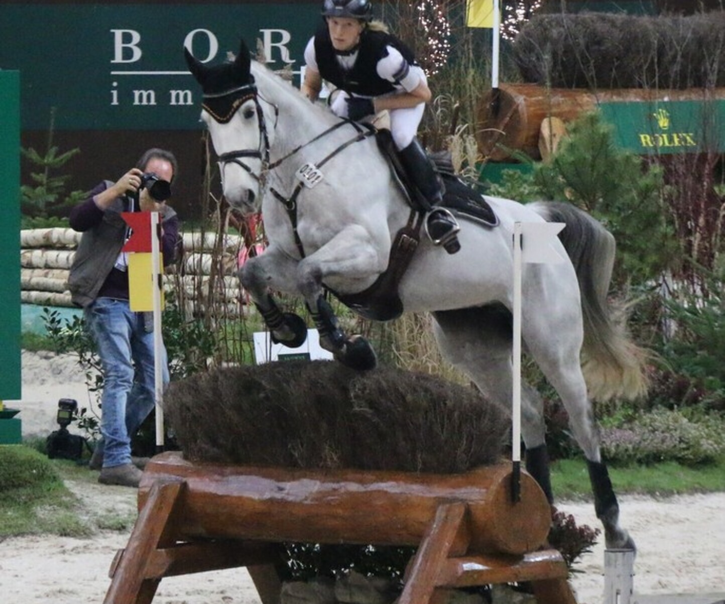 Description de l'image