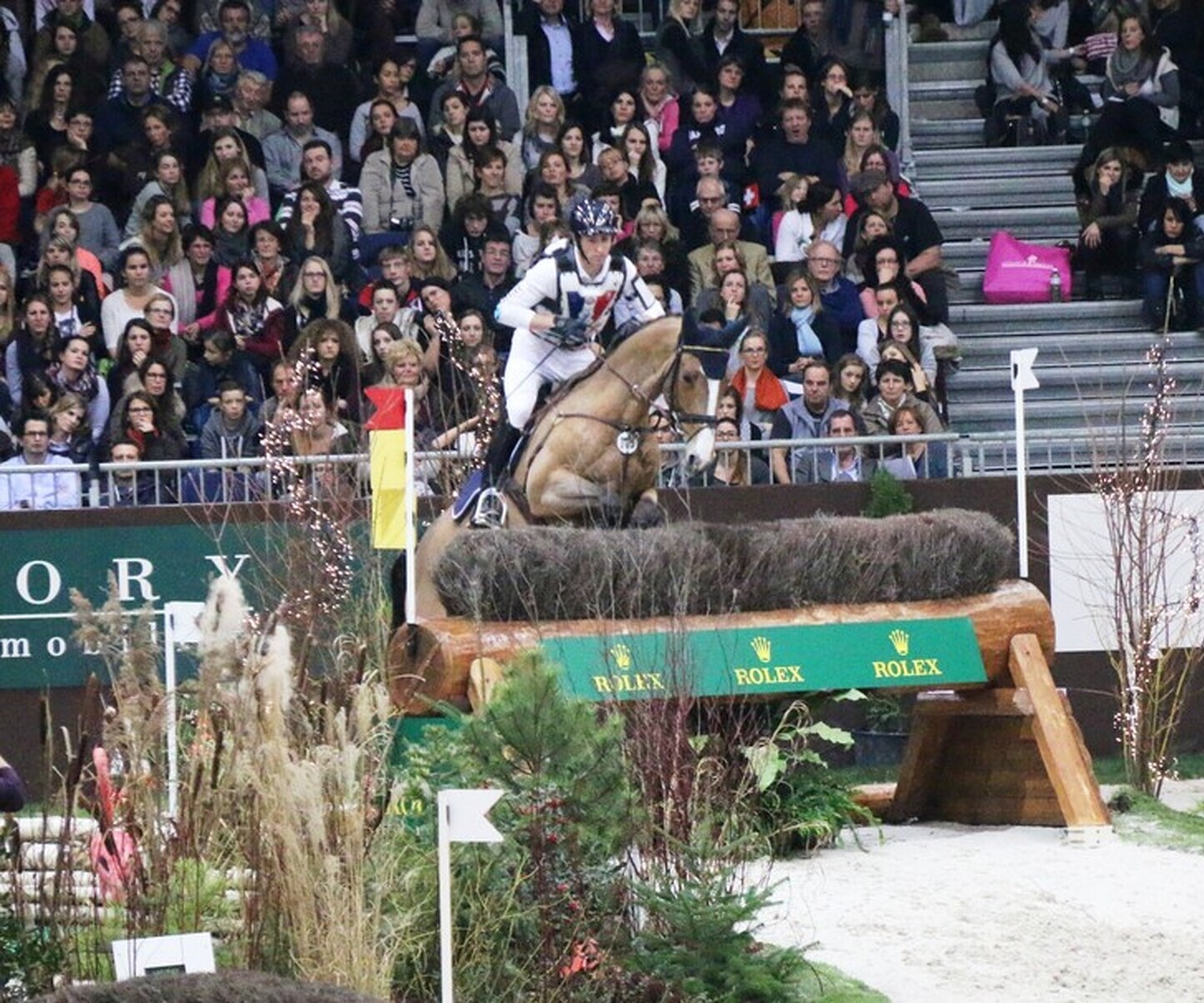 Description de l'image