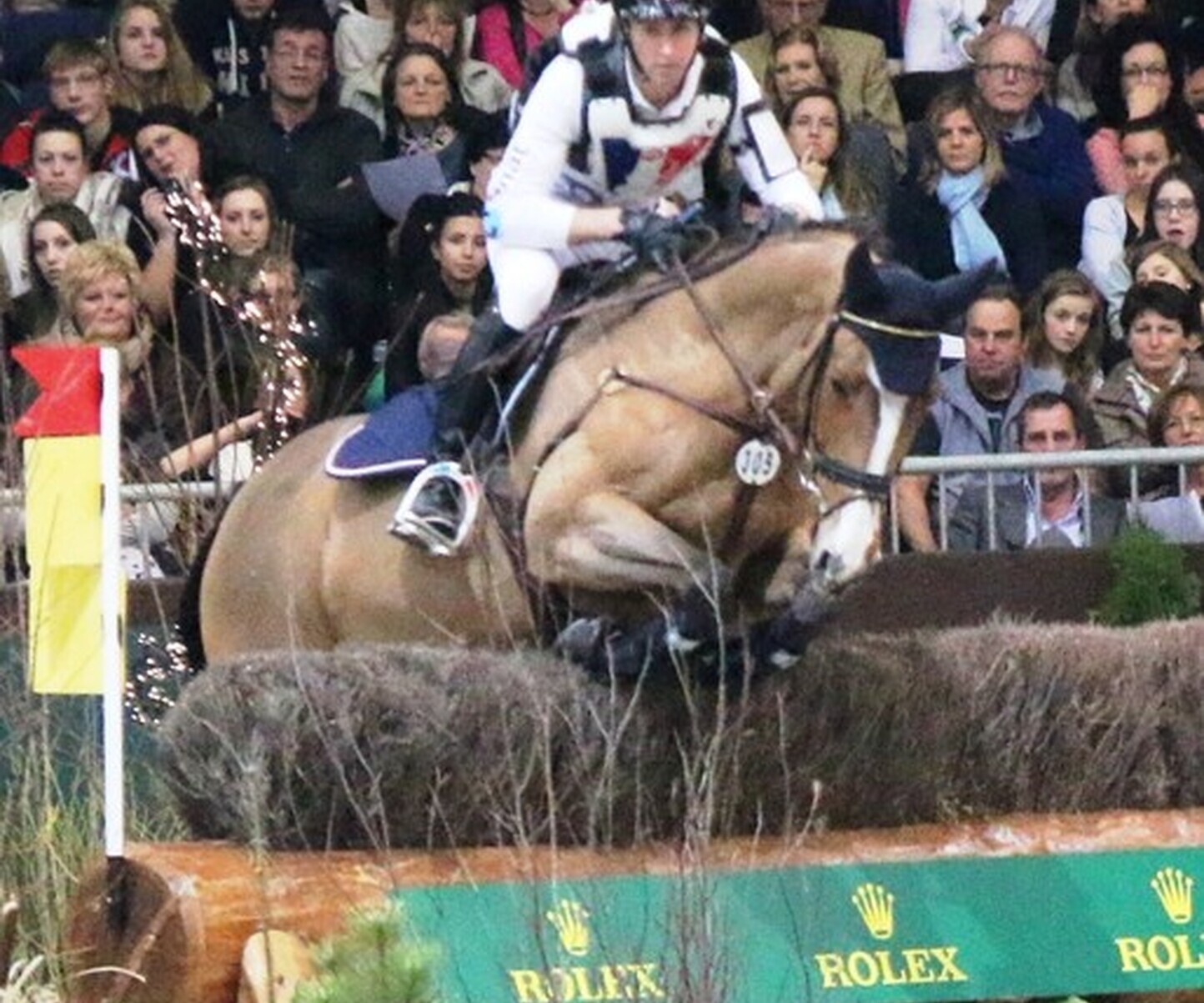 Description de l'image