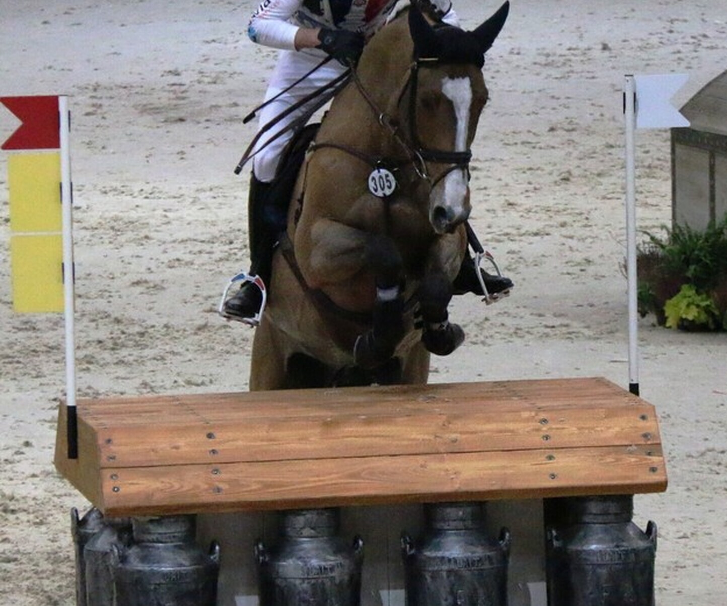 Description de l'image