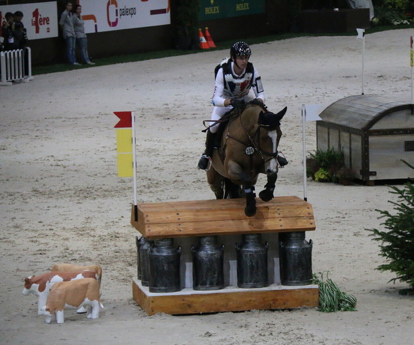 Description de l'image