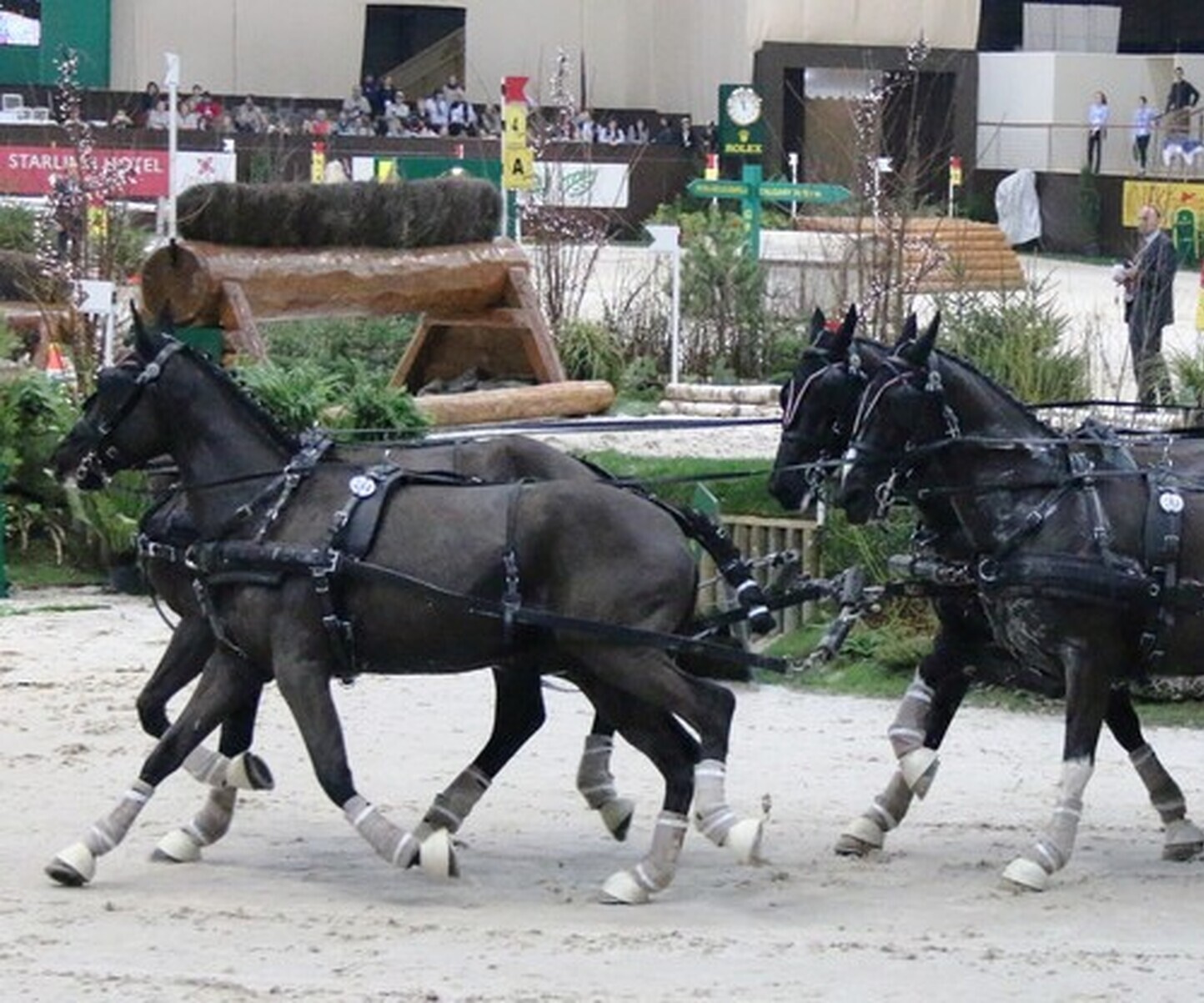 Description de l'image