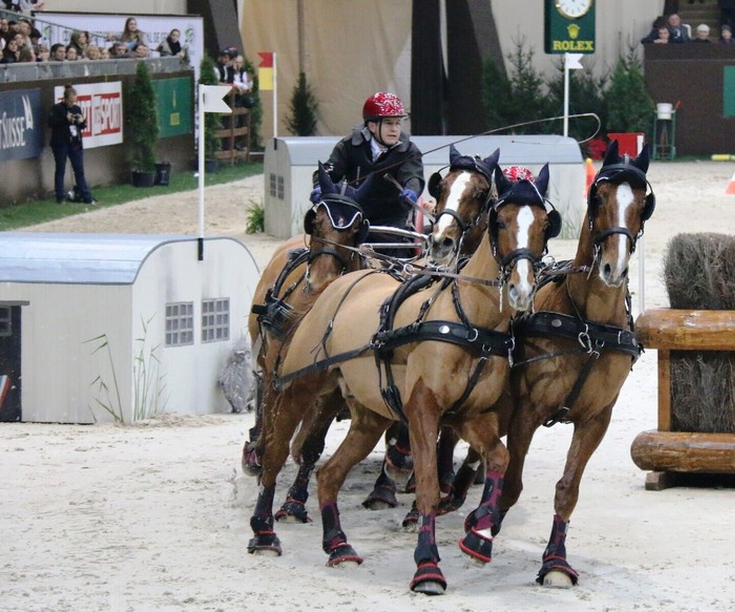 Description de l'image