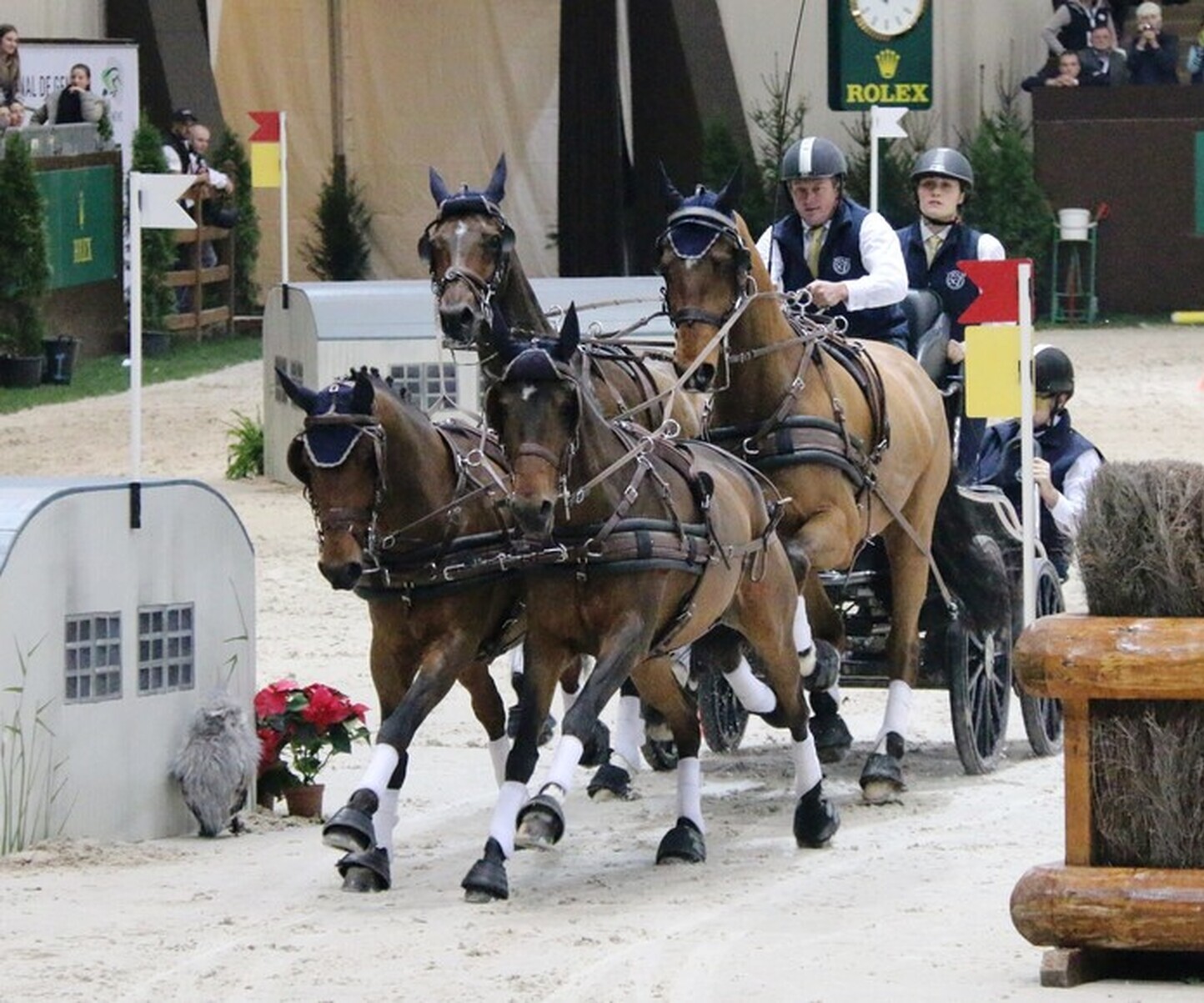 Description de l'image