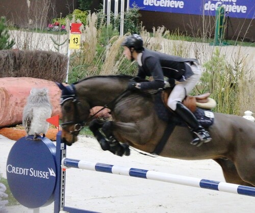 CHI-Genève 2014 - Samedi