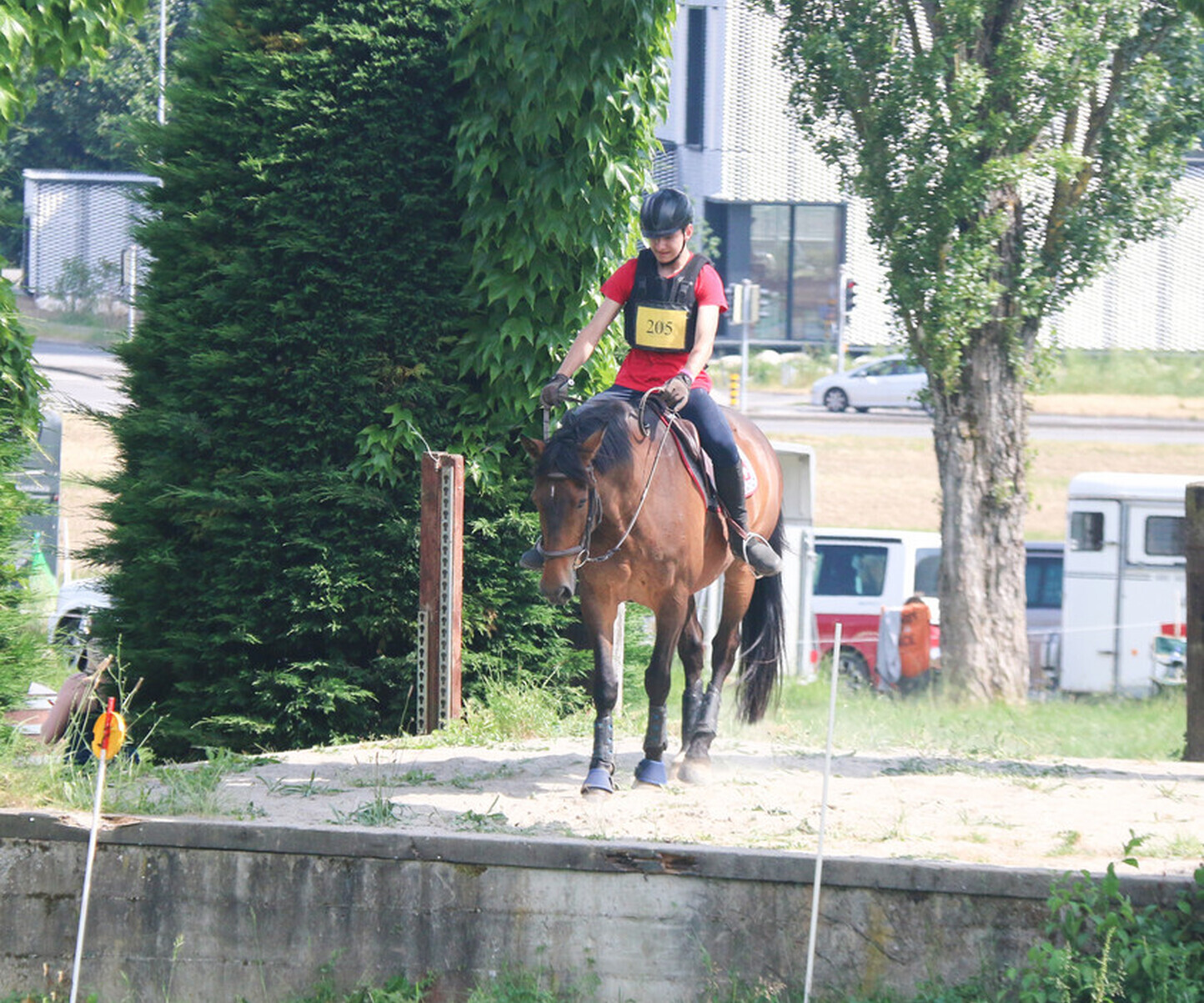 Championnats Suisse de TREC à Satigny