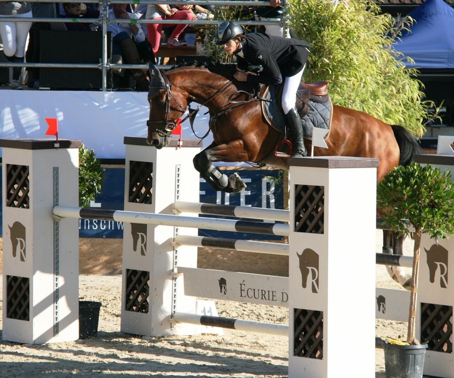 Championnats Romands de Saut