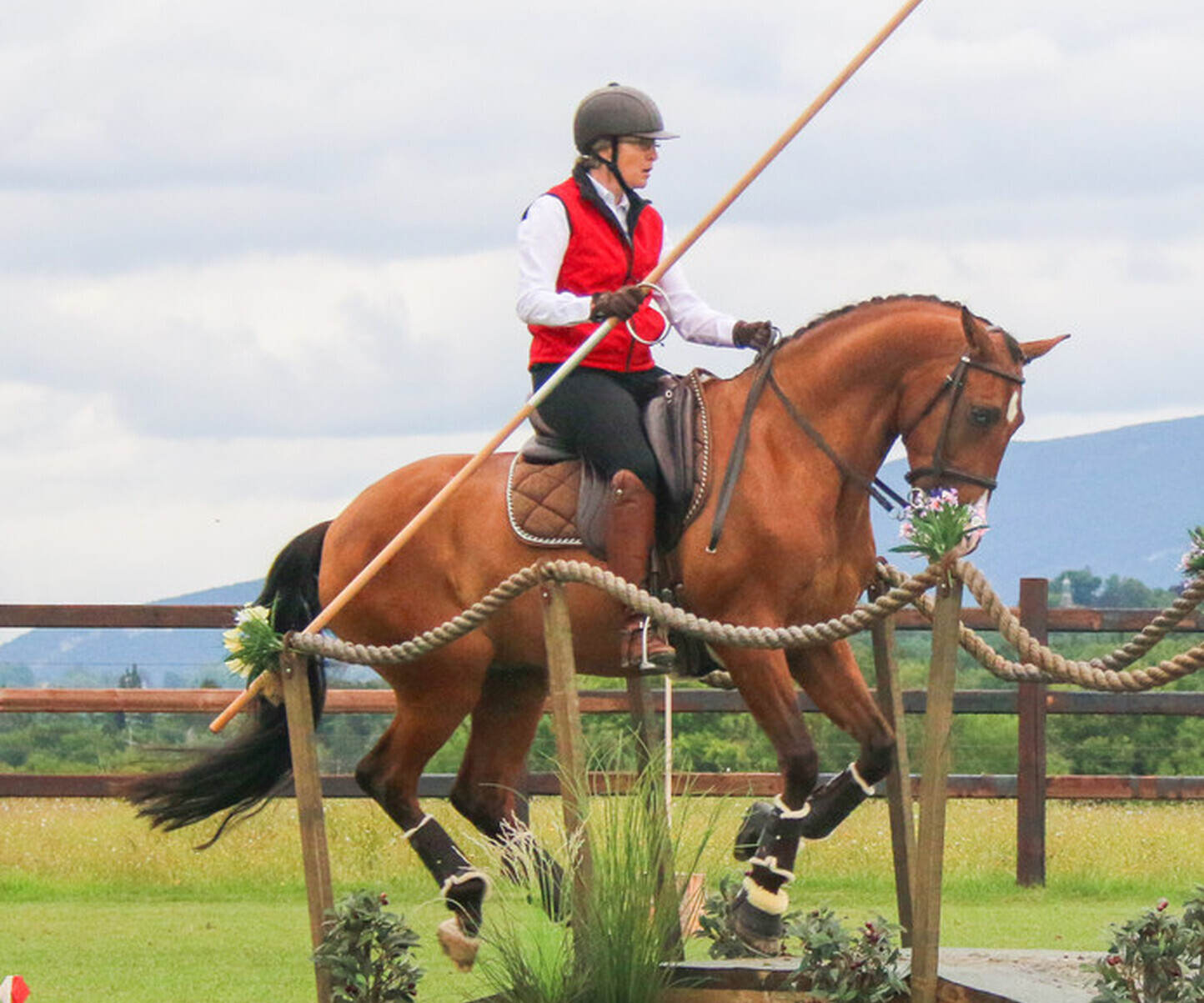 Equitation de travail aux Ecuries du Bison Blanc