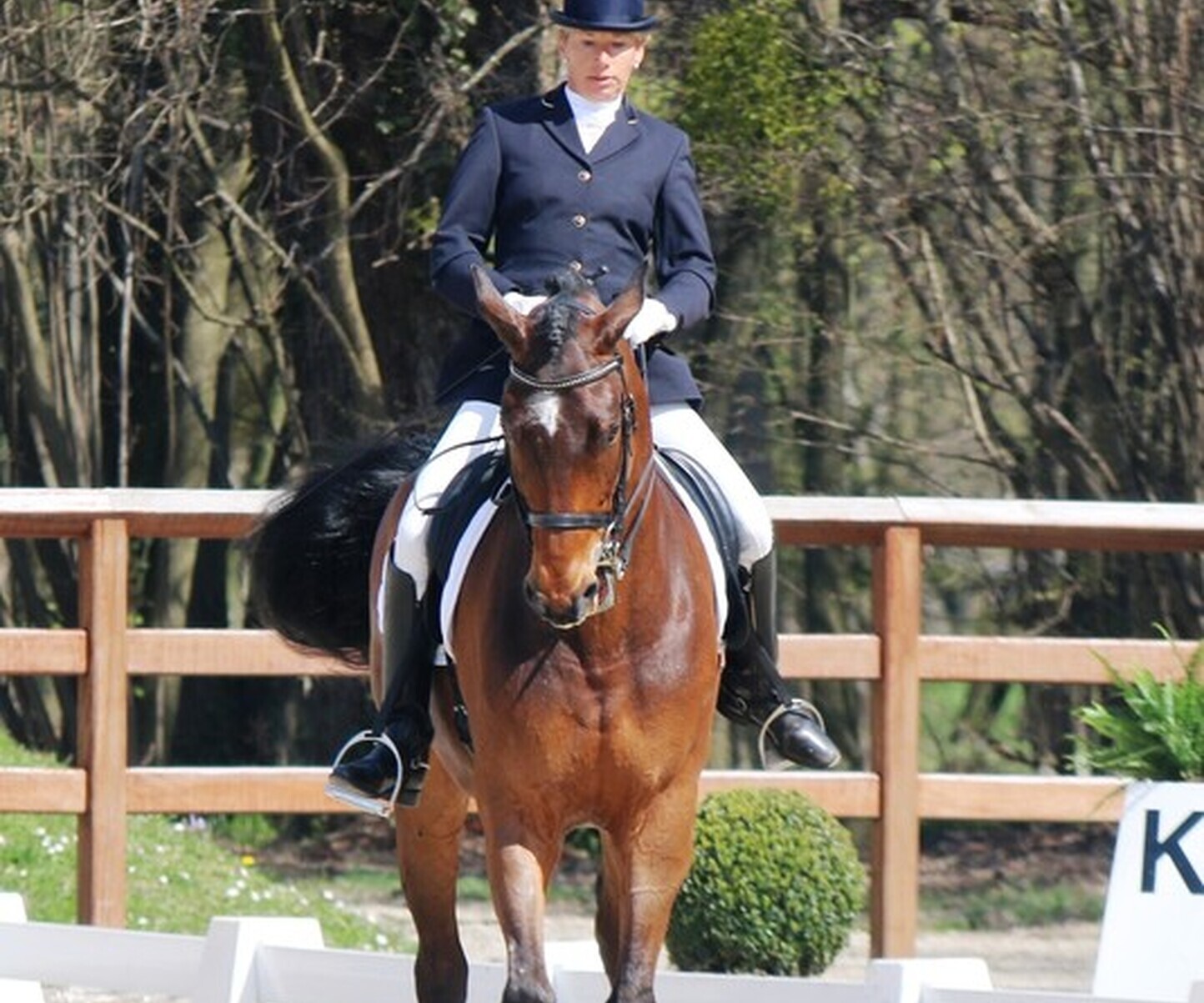 Dressage à Evordes