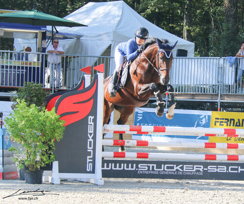 Saut Junior et Jeunes cavaliers La Gambade 2019
