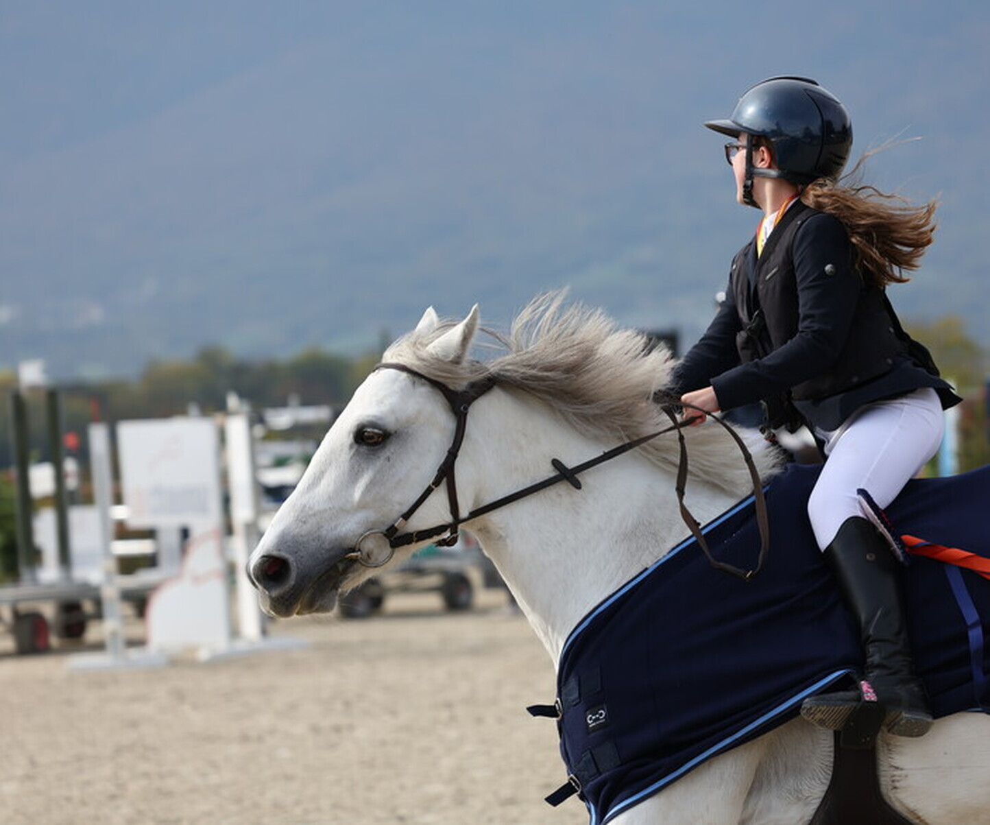 Description de l'image