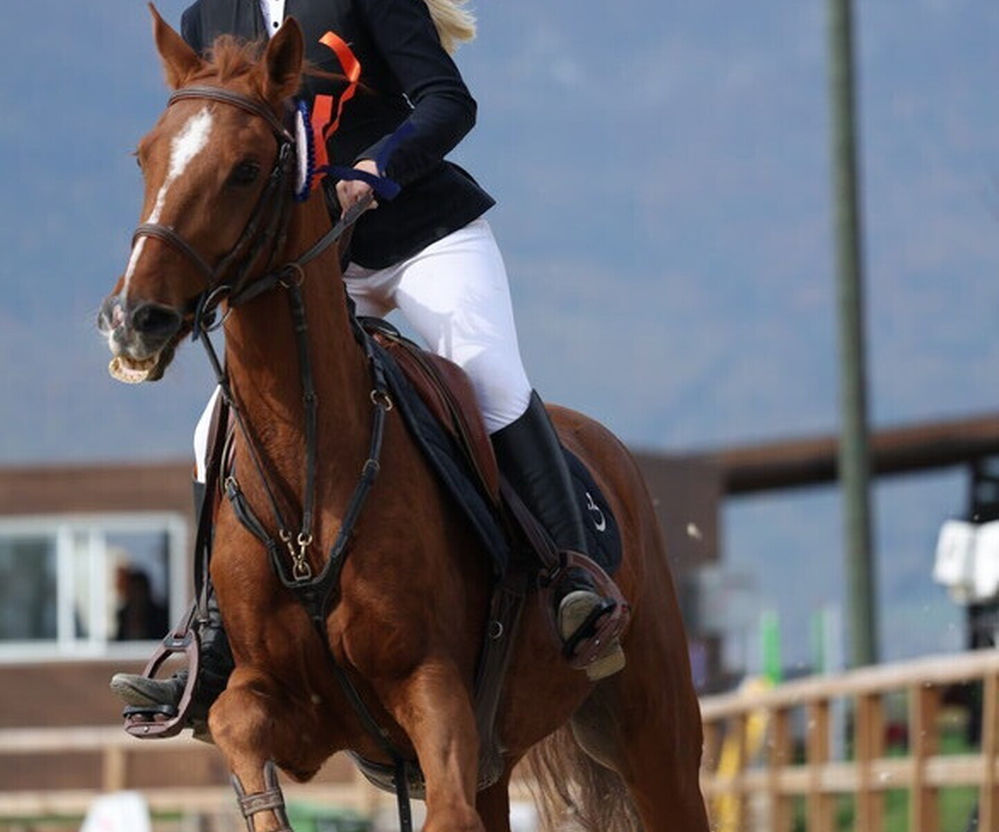 Description de l'image