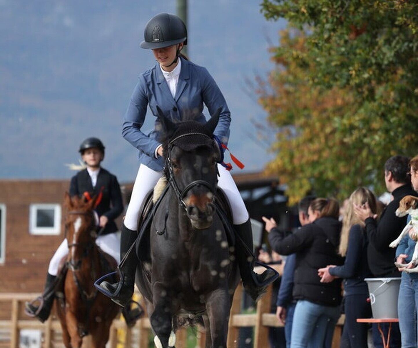 Description de l'image