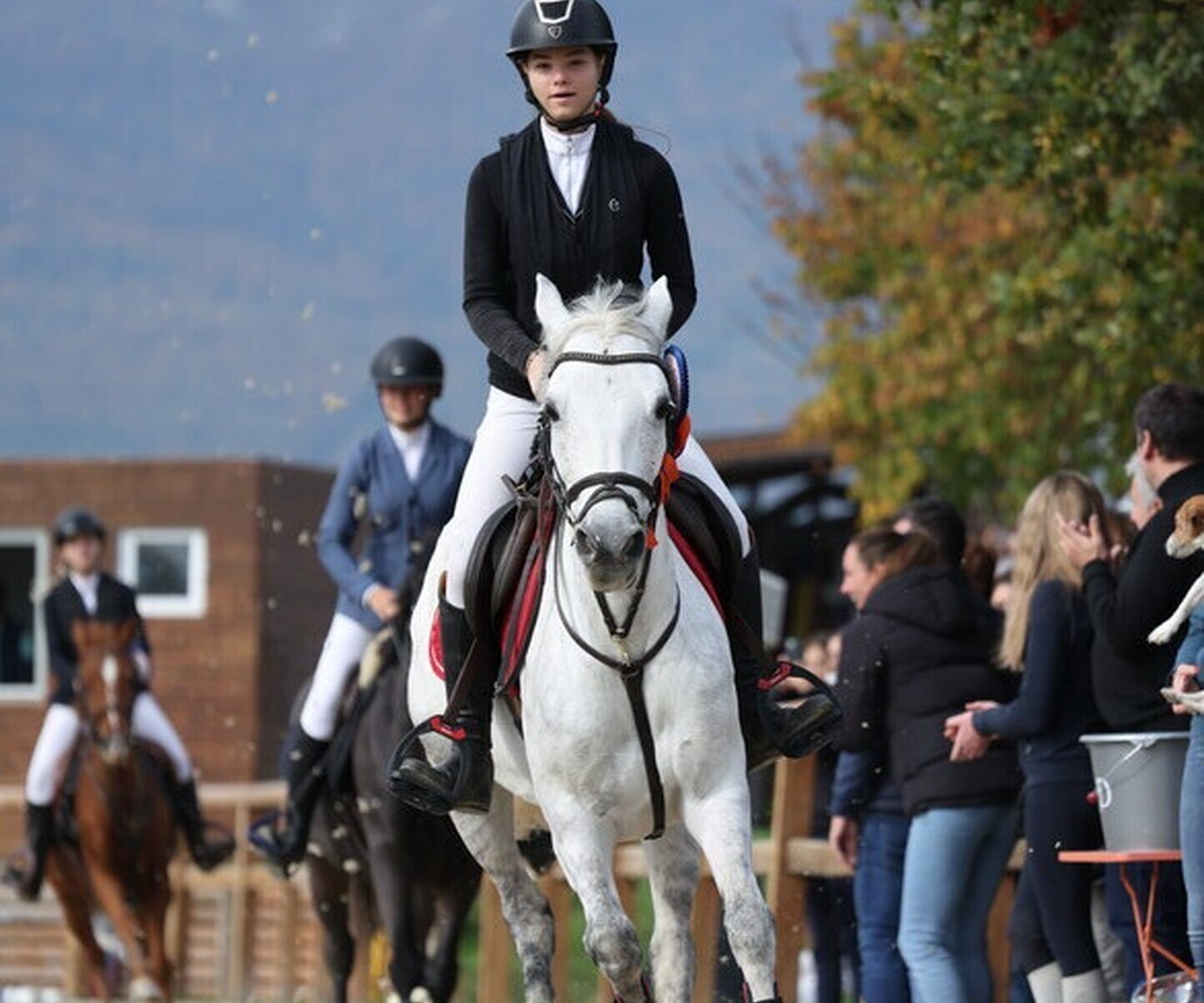 Description de l'image