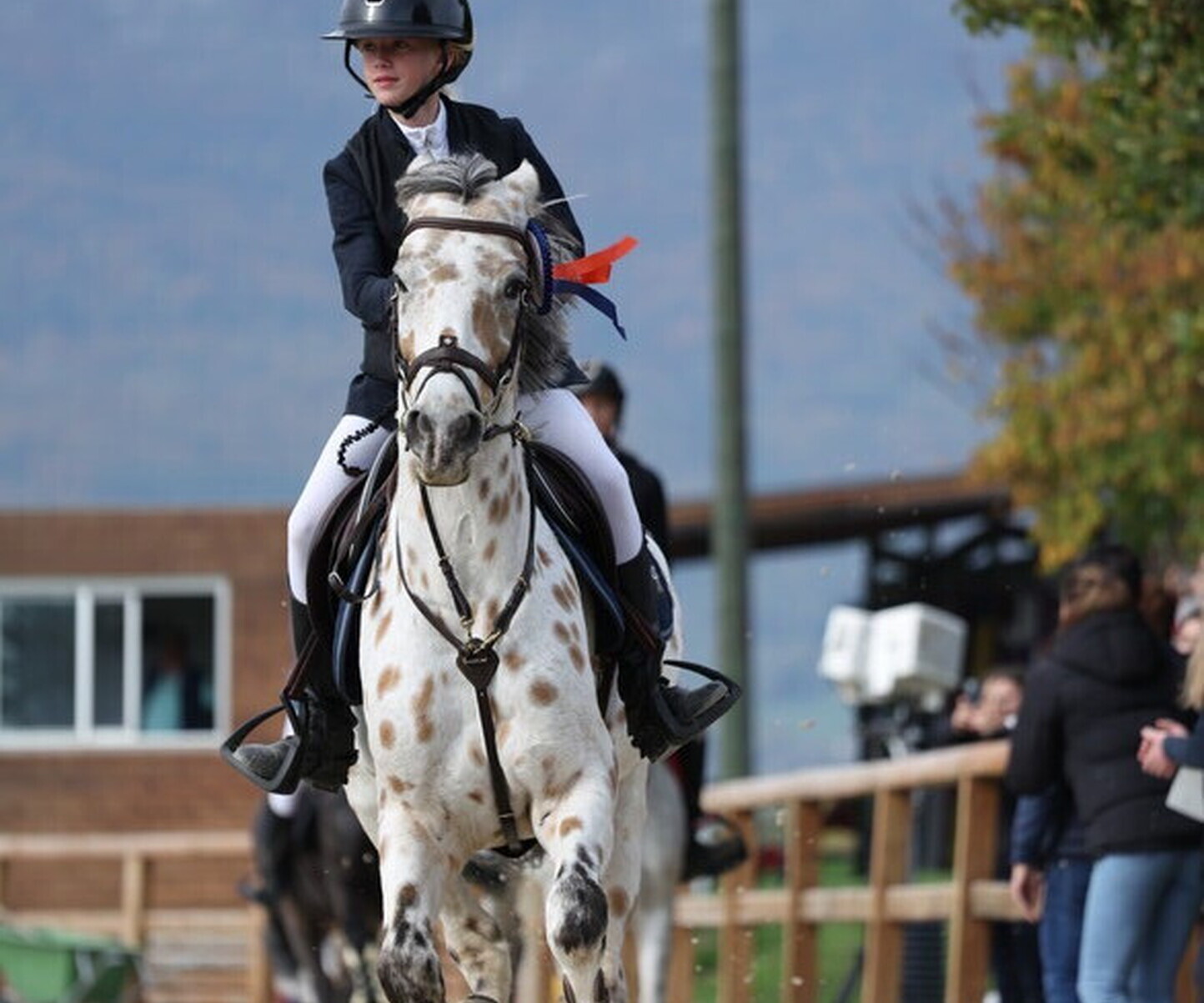 Description de l'image