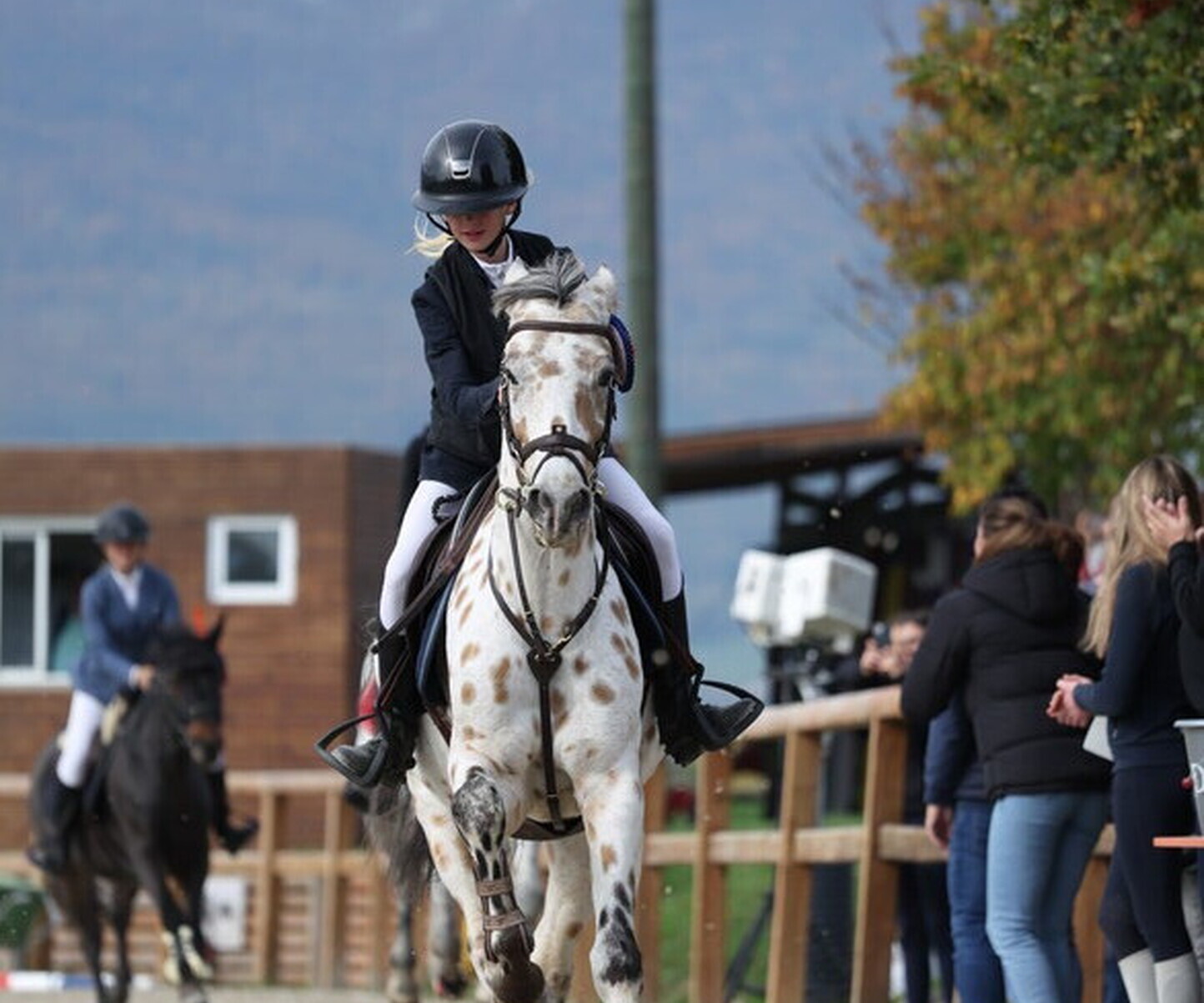 Description de l'image