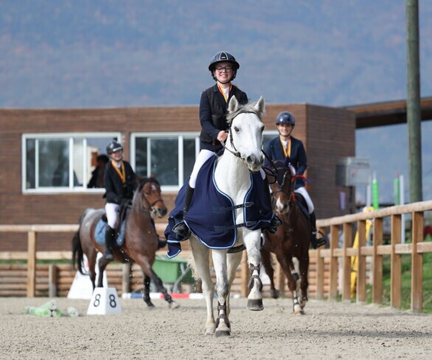 Description de l'image