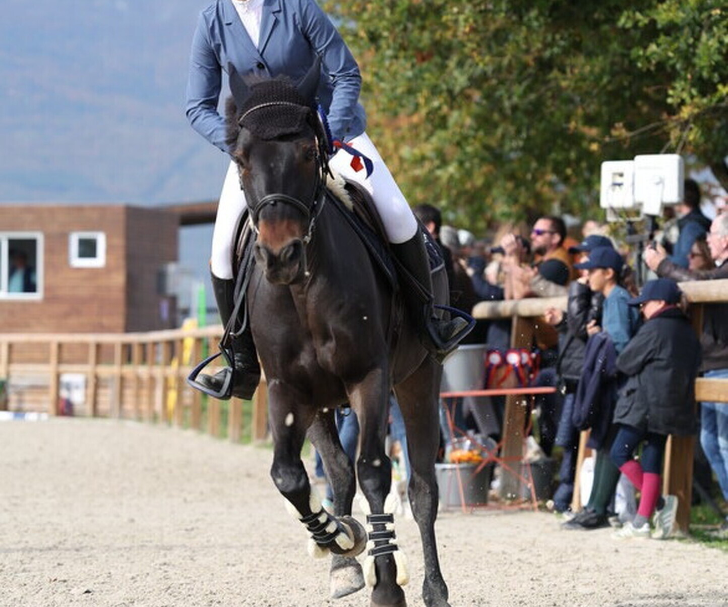 Description de l'image