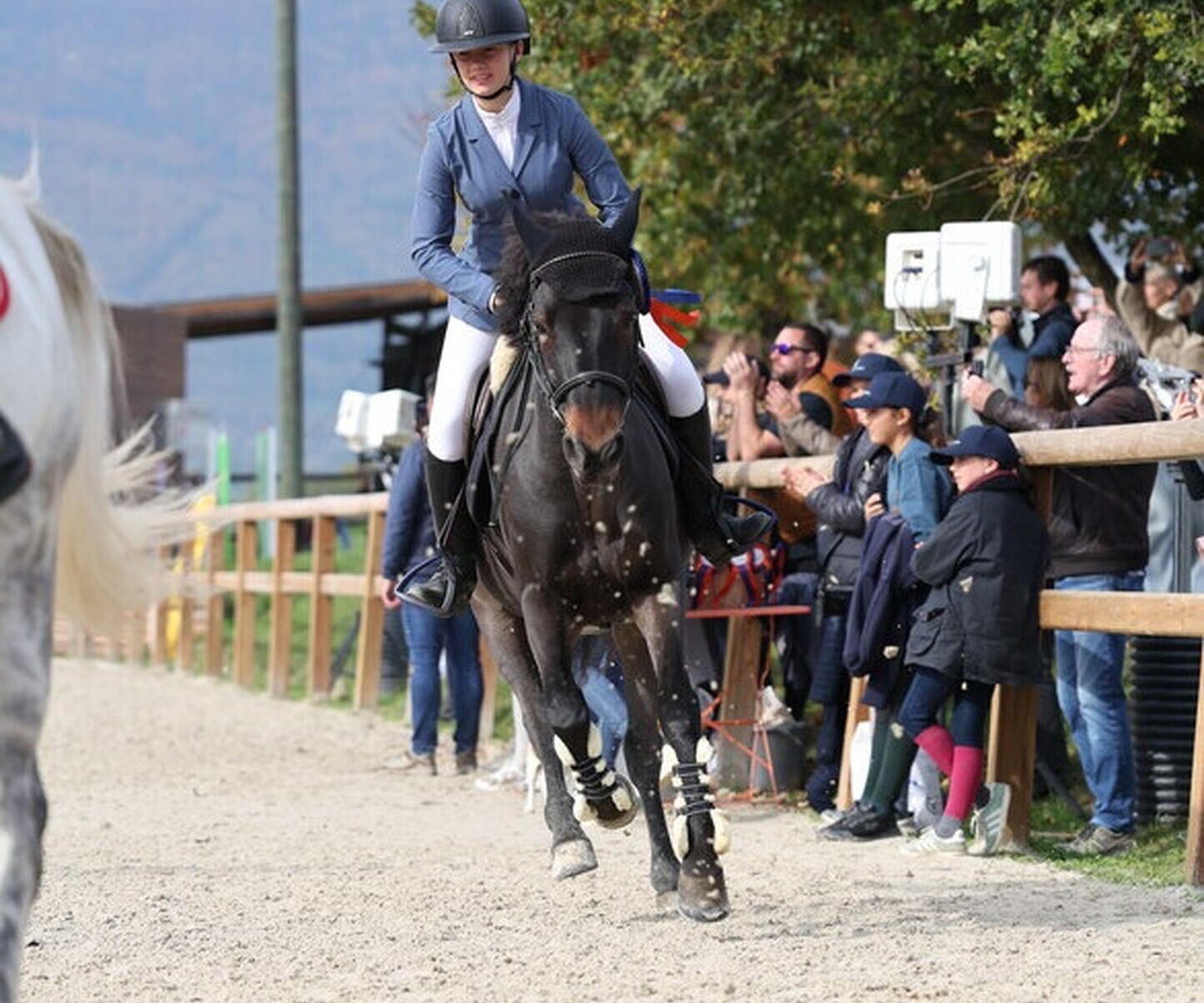 Description de l'image