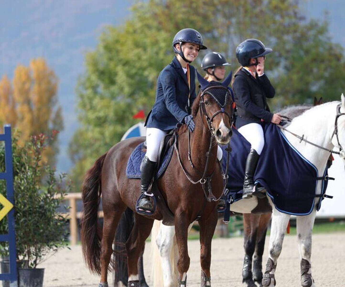 Description de l'image